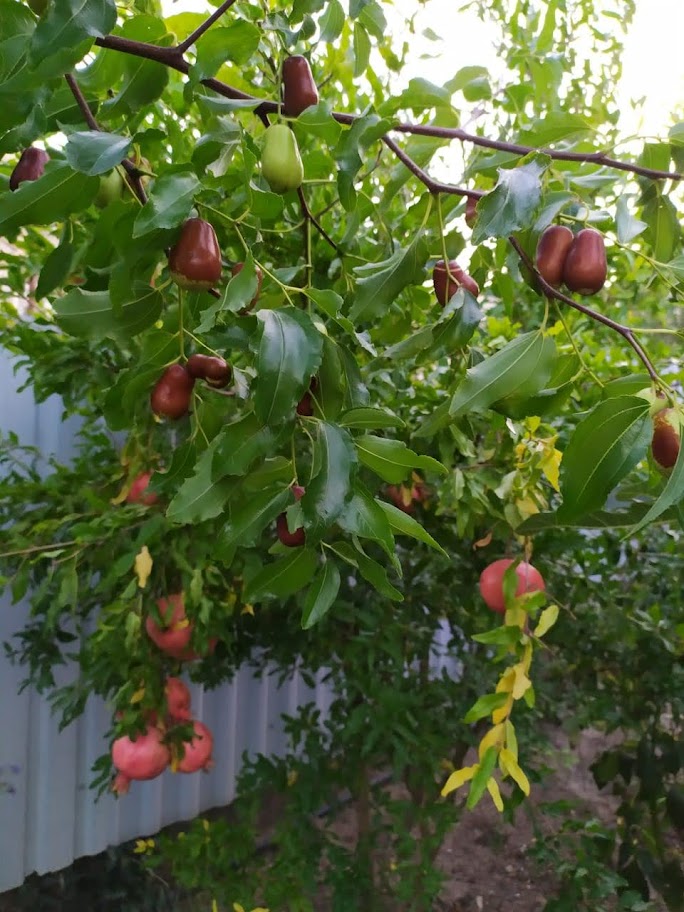 Фото Вилла Гармония