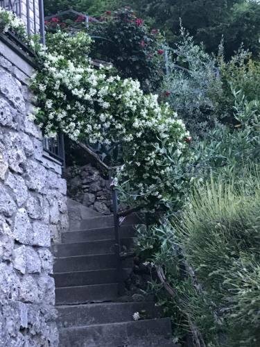 Гостиница B&b Bellavista