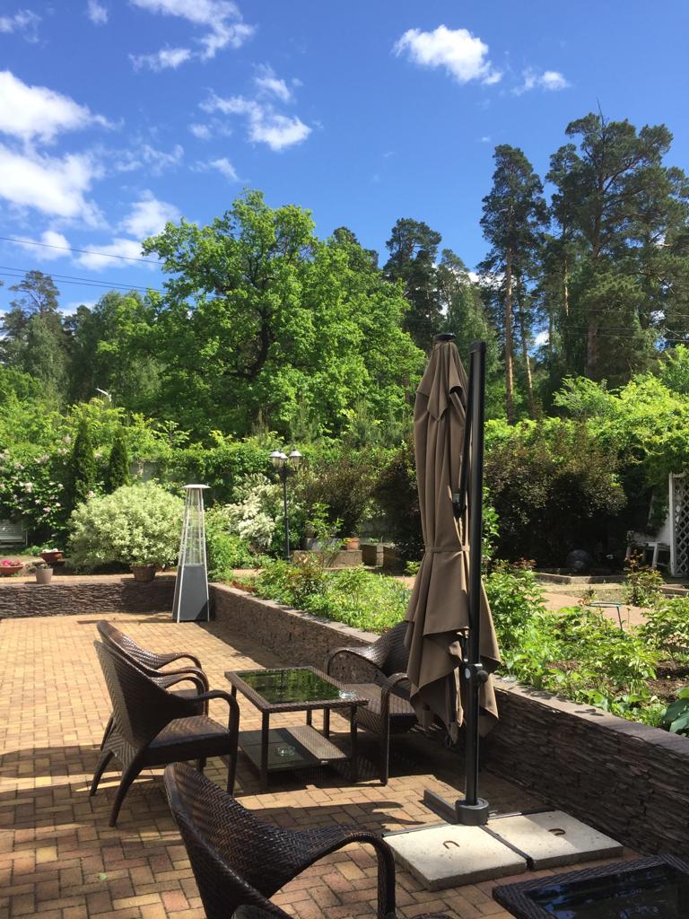 Фото Боровница