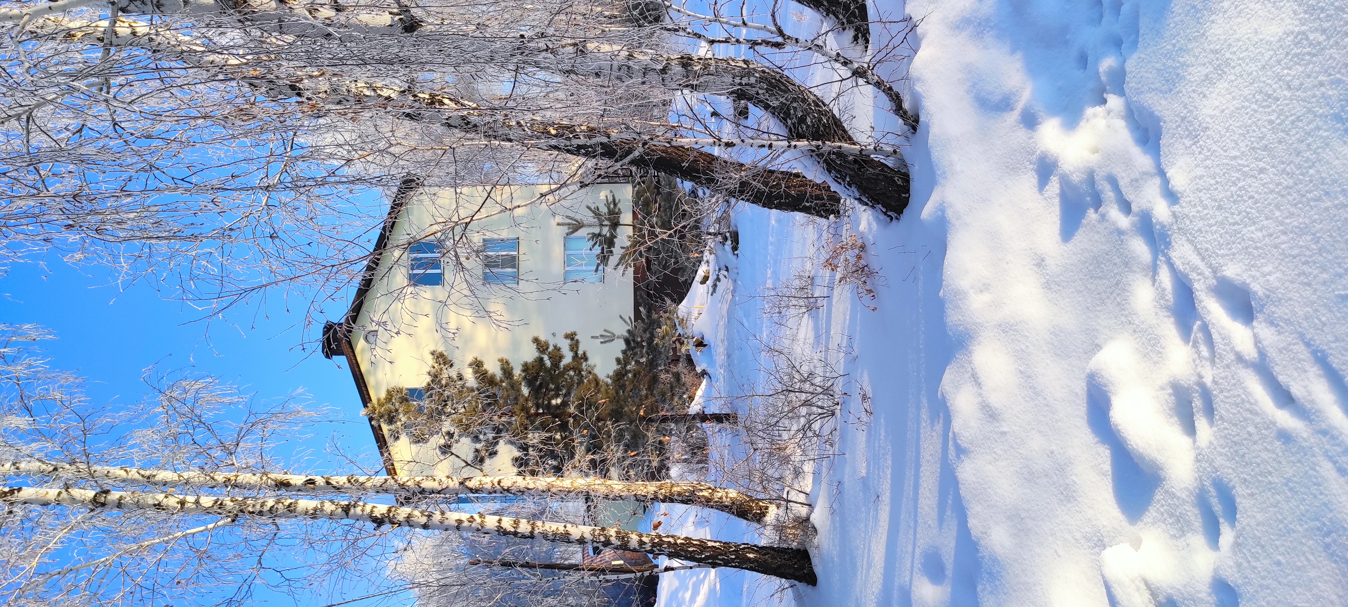 Фото Мичуринский