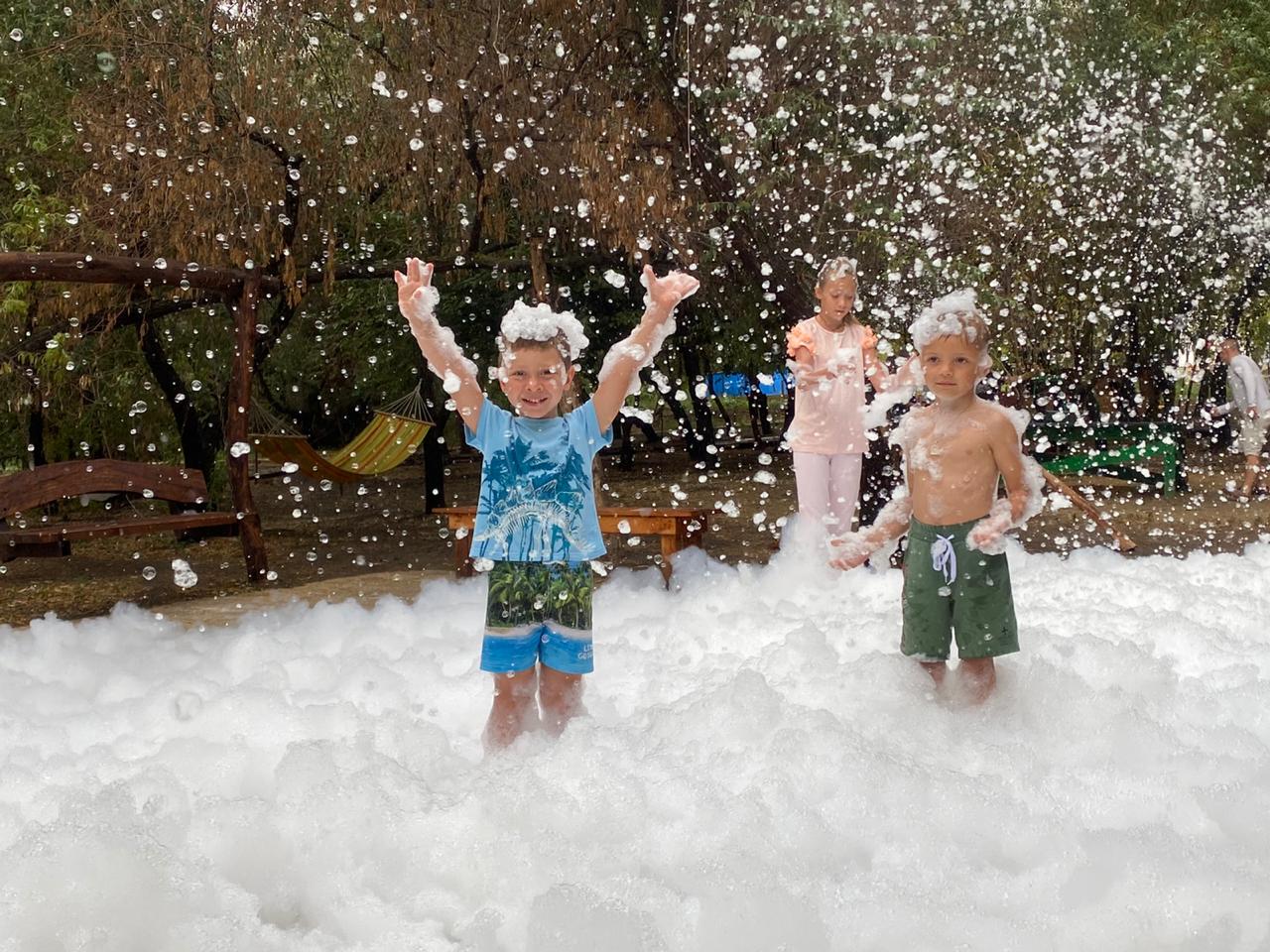 Фото Маэстро