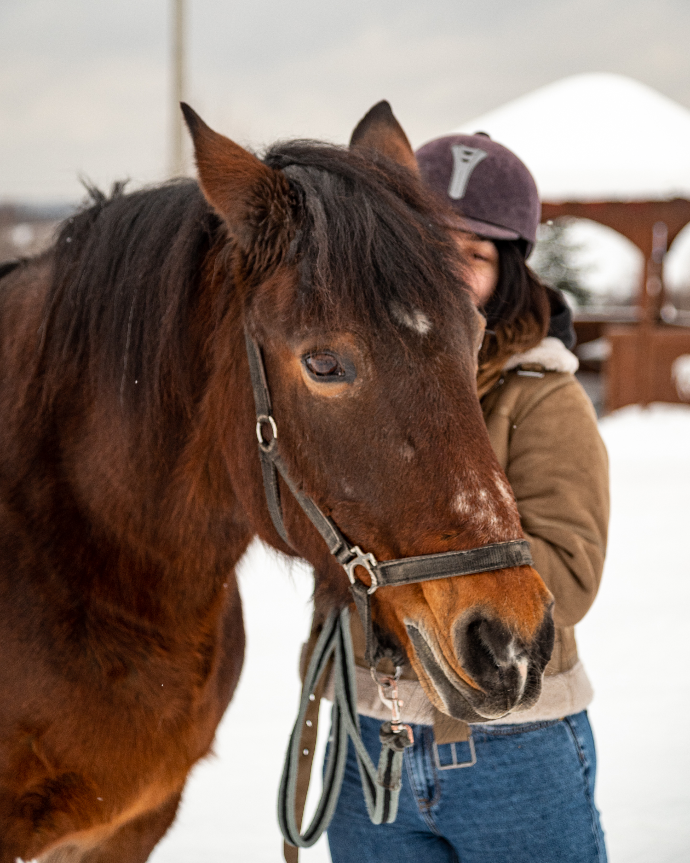 Фото Эко клуб на Ферме