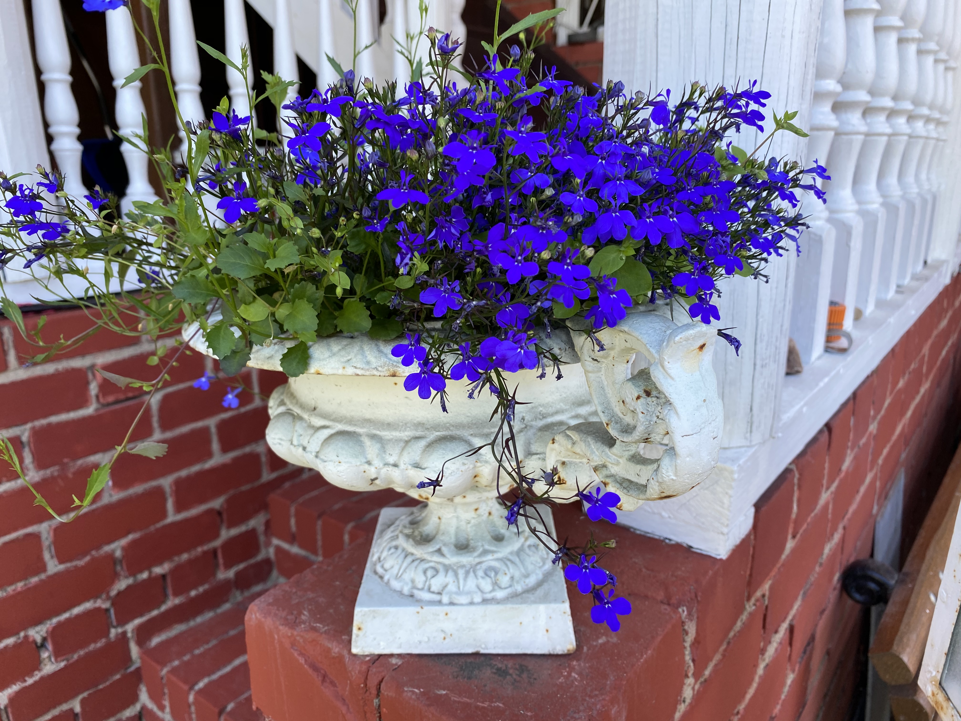 Фото Самоварное заведение в Суздале