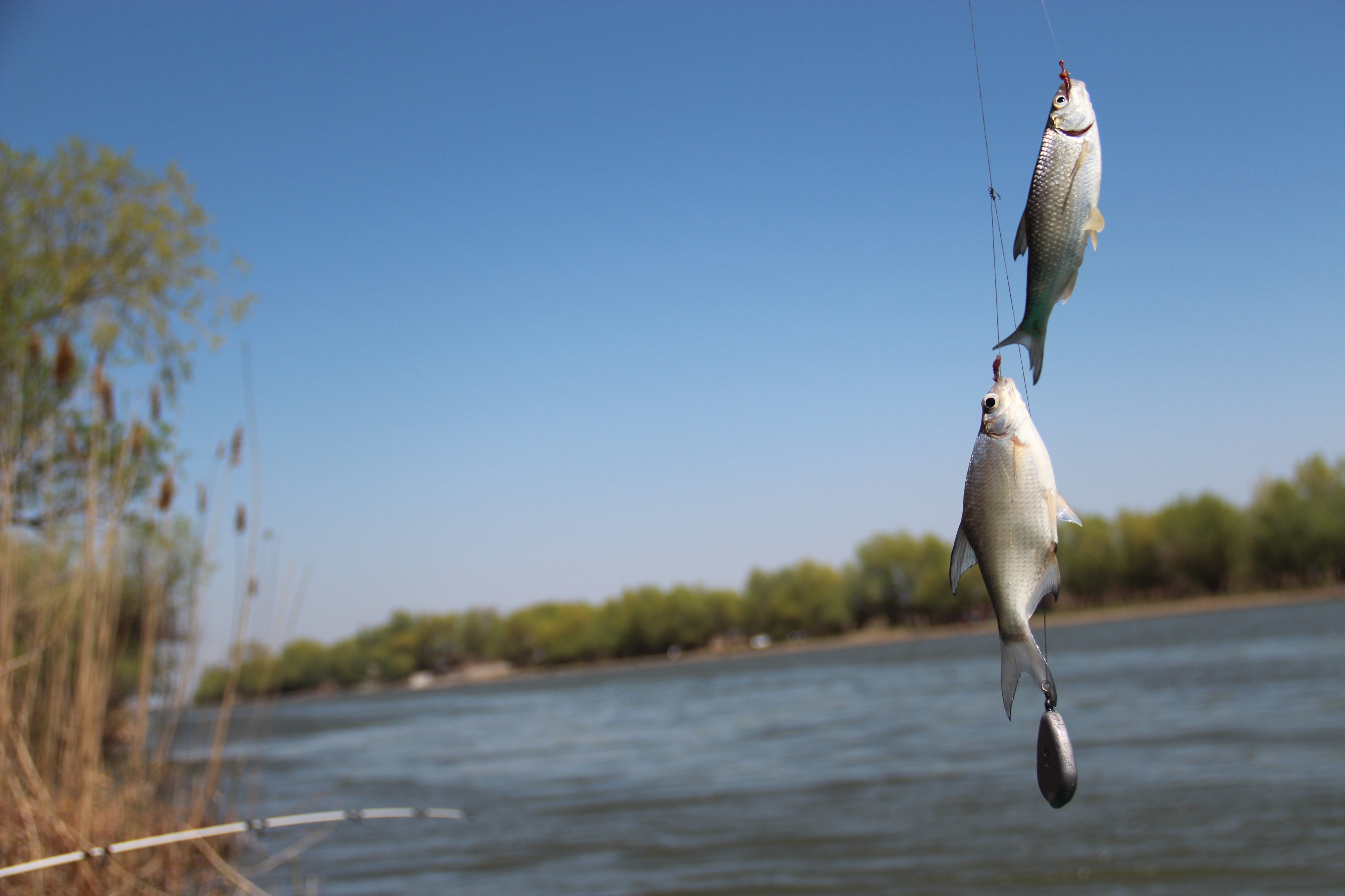 Фото База Каралат