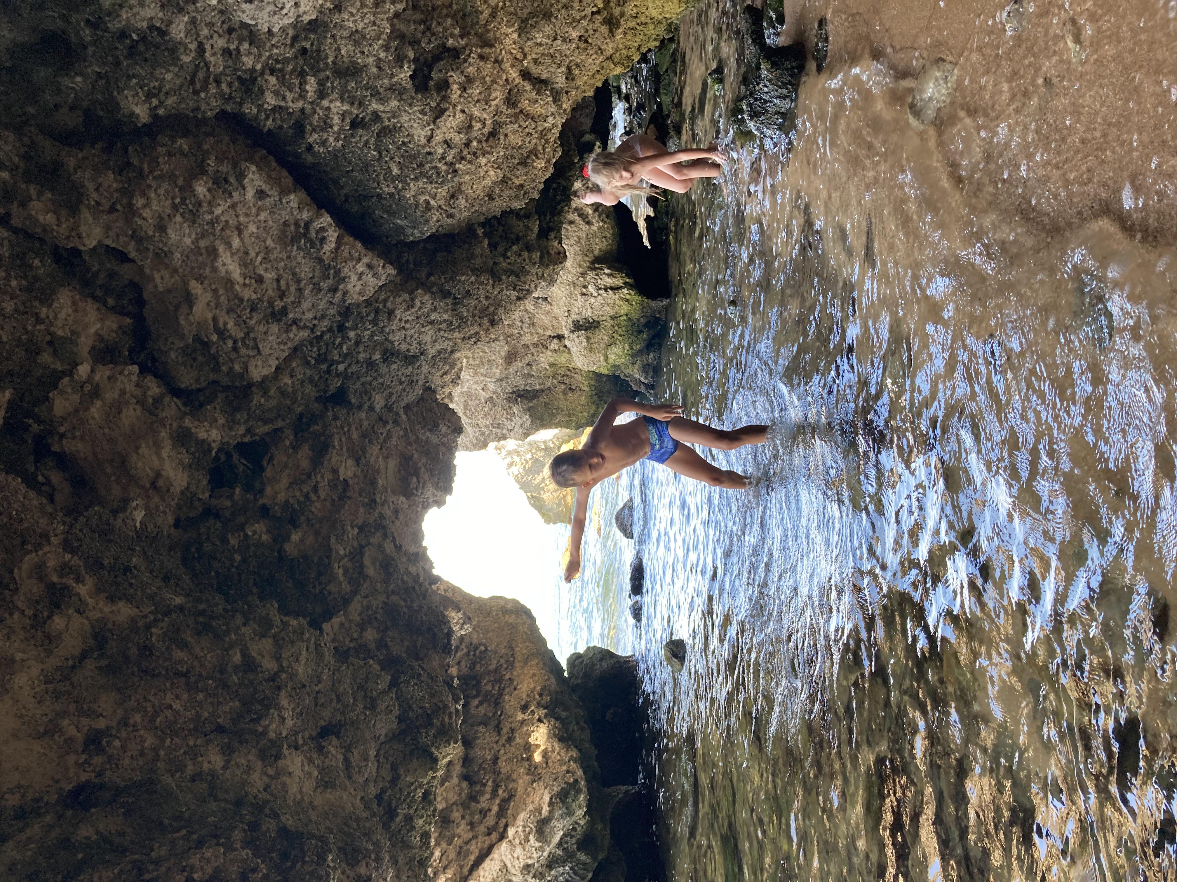 Фото Сказка ИНН