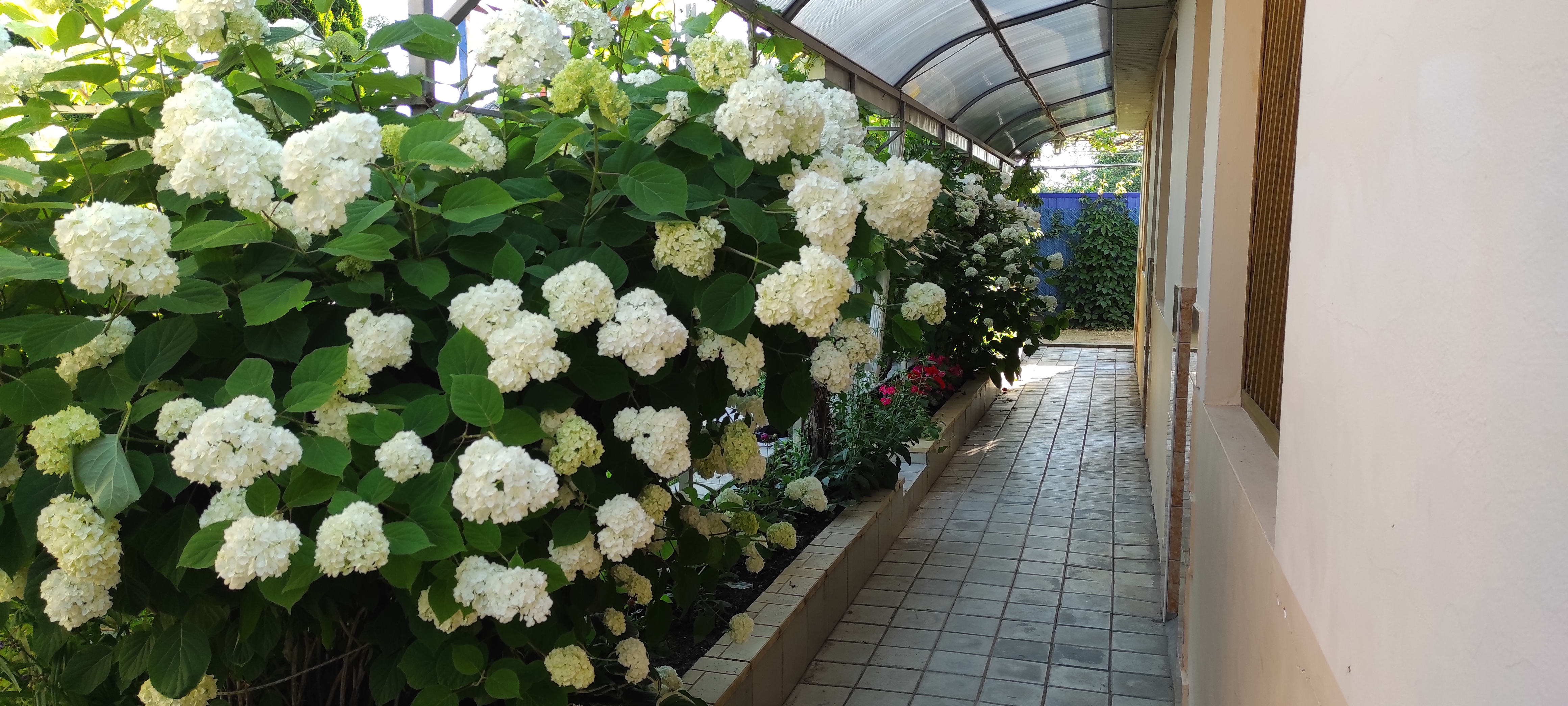 Фото Морское Небо