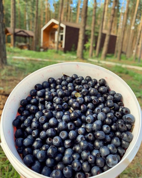 Фото Sherwood Park Hotel