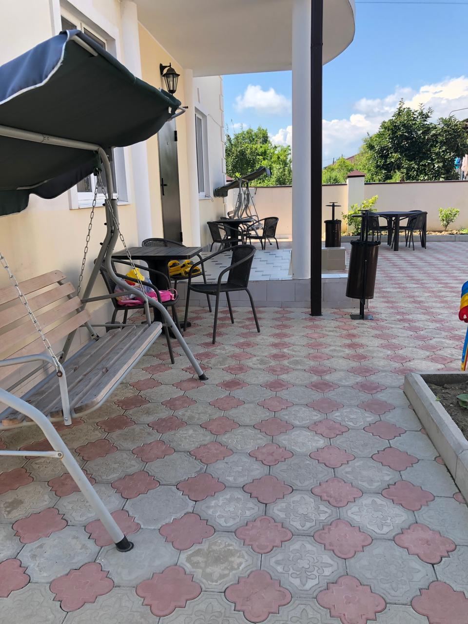 Фото Дельфин