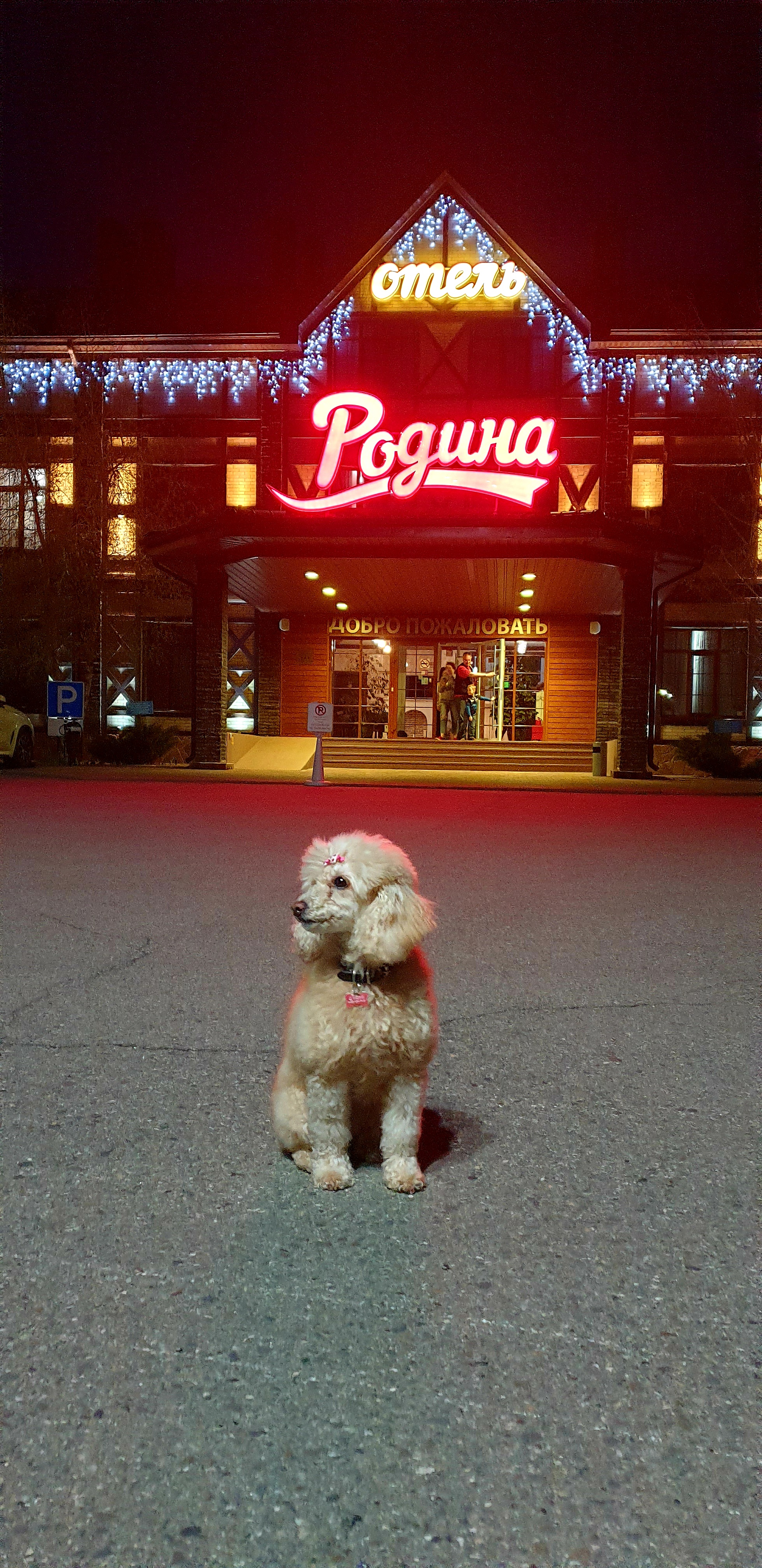 Фото Родина