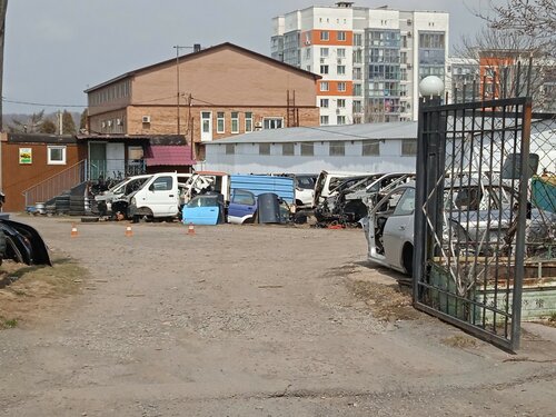 Магазин автозапчастей и автотоваров Клио-сервис, Владивосток, фото
