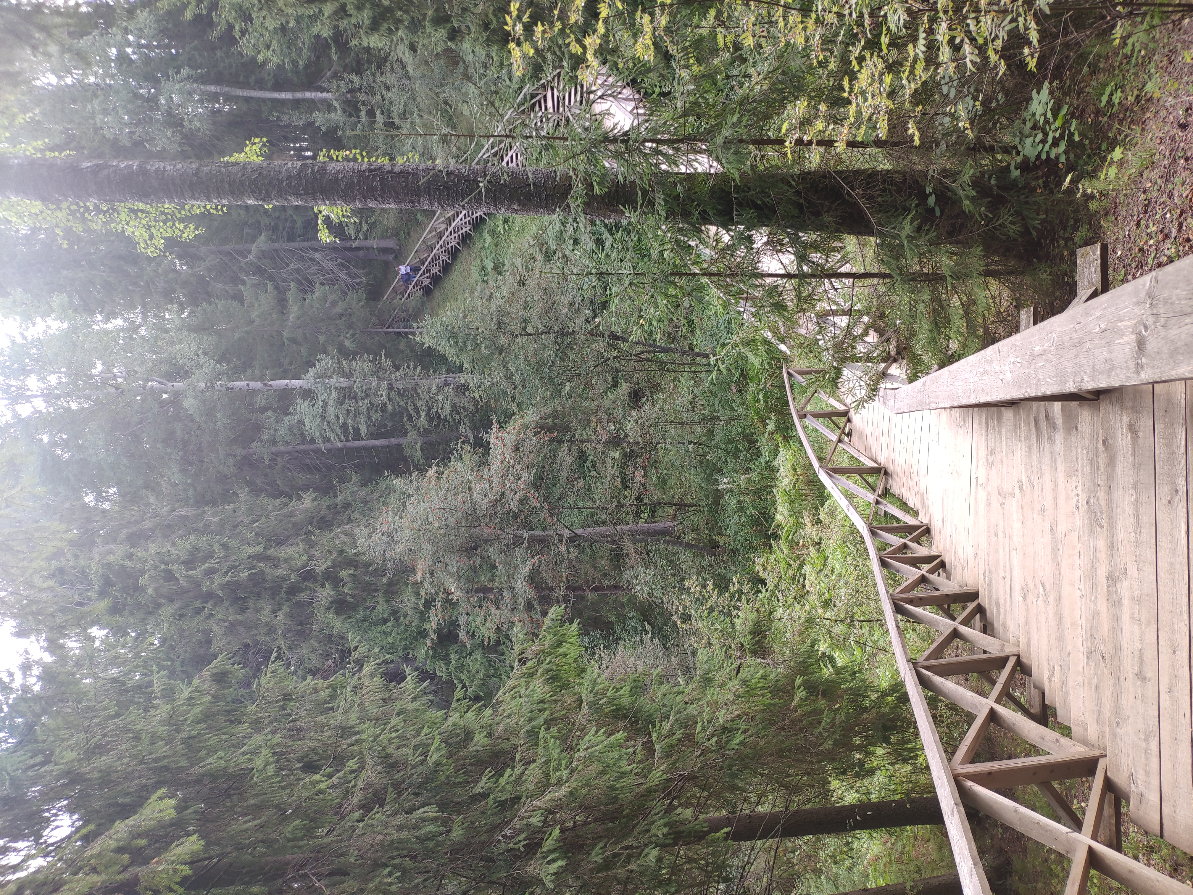 Фото Санаторий Щелыково