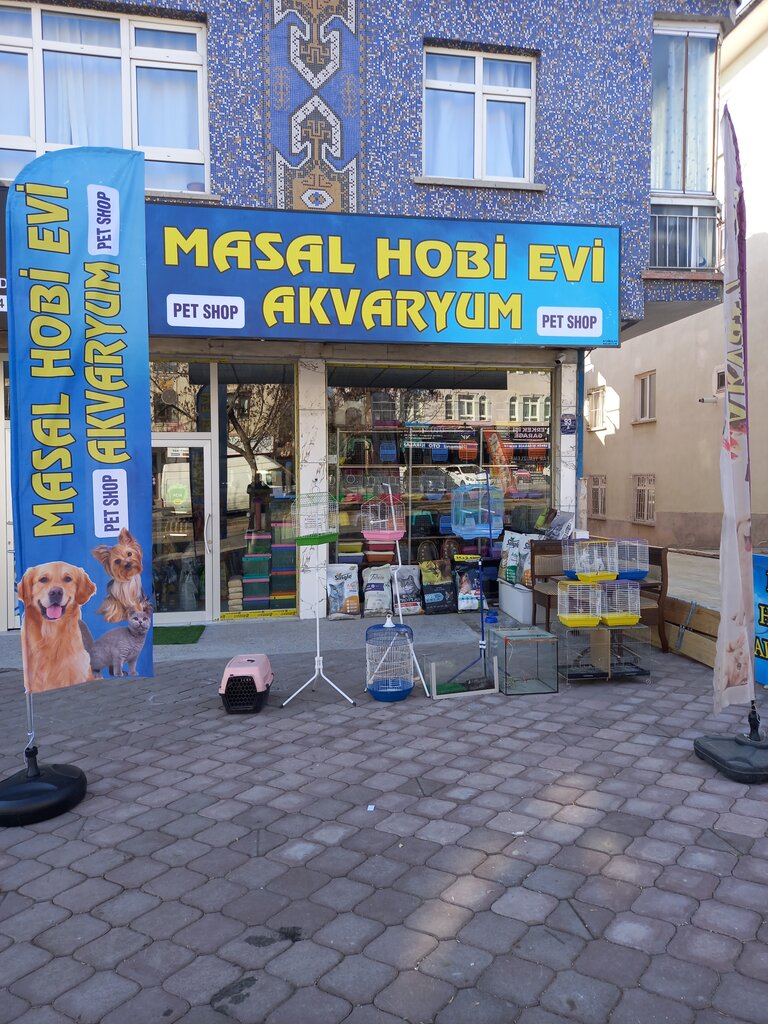 Akvaryumlar Masal Hobi Evi Akvaryum, Keçiören, foto