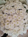 Цветочный двор (ulitsa Voykova, 103/1), flower shop