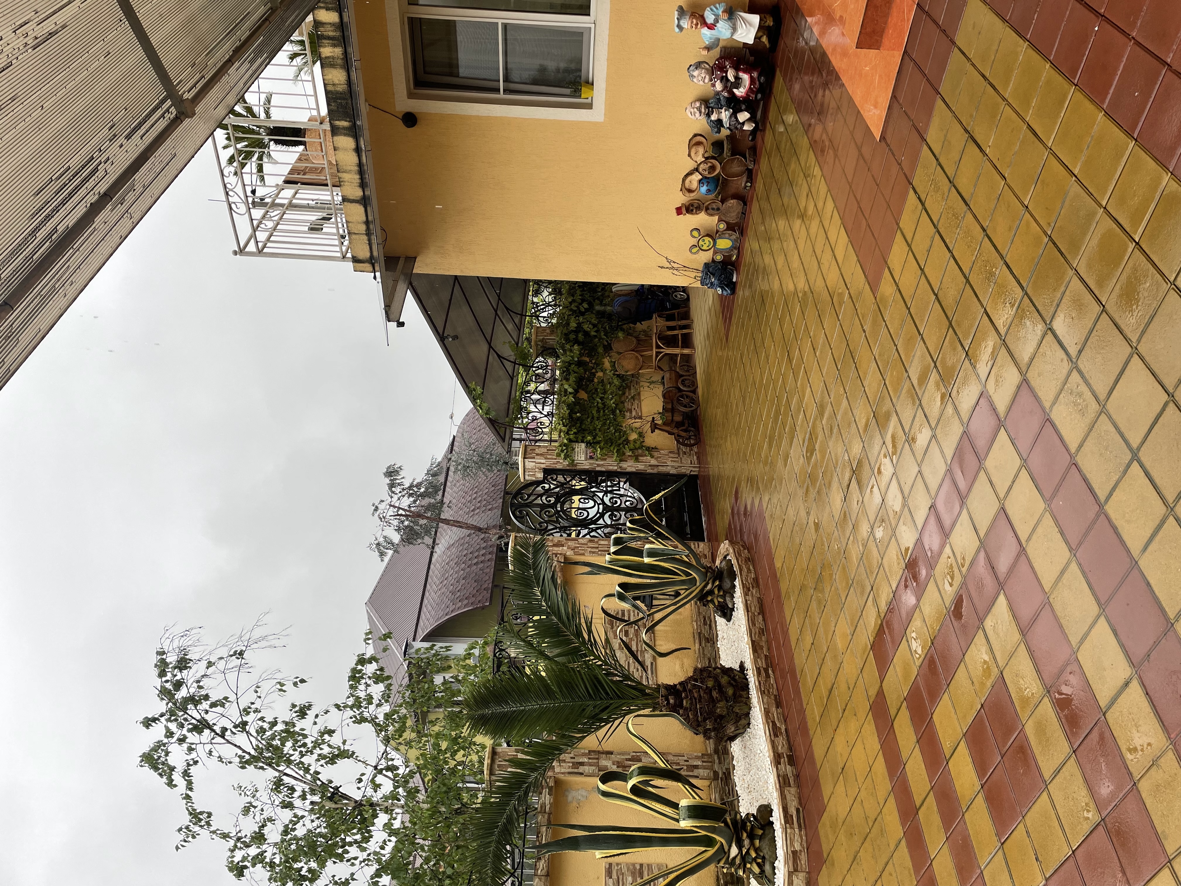 Фото Ариетта