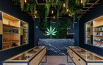 Greenifycbd (Brașov, Brașov), pharmacy