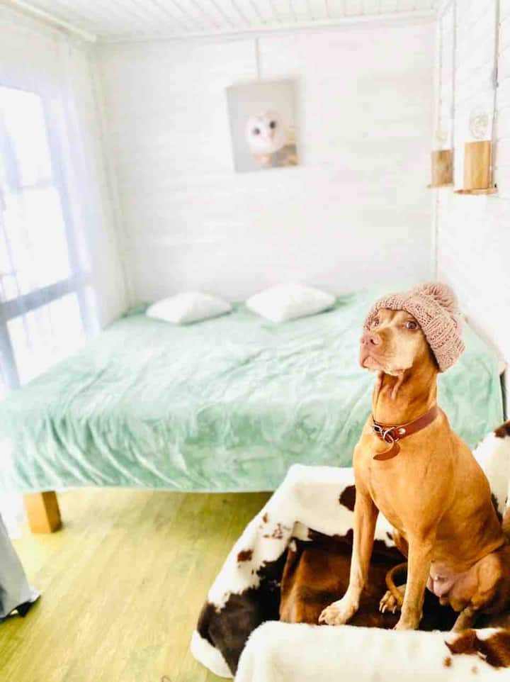 Фото Амбаркаса