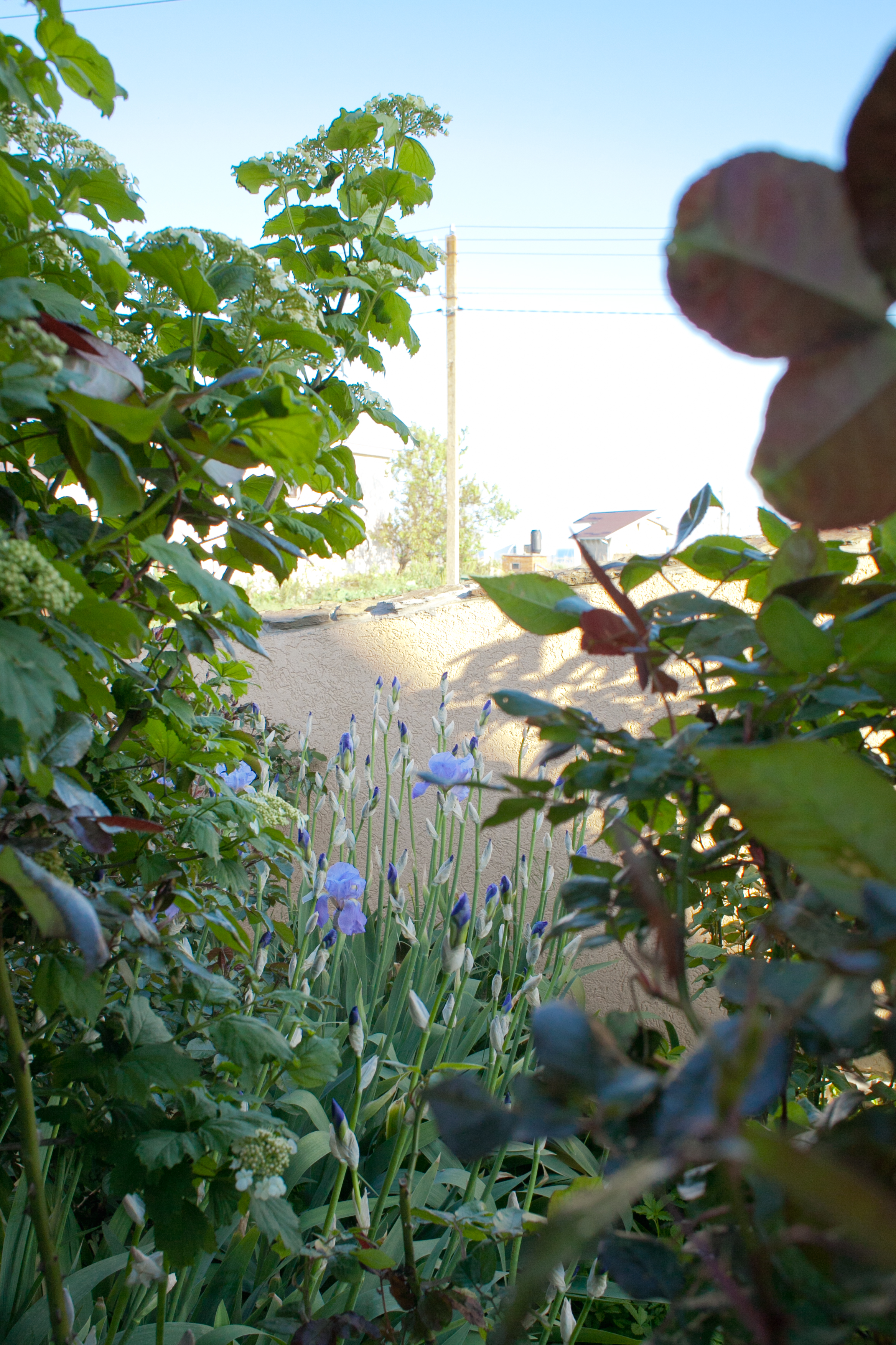 Фото Дом Ленивый Дельфин