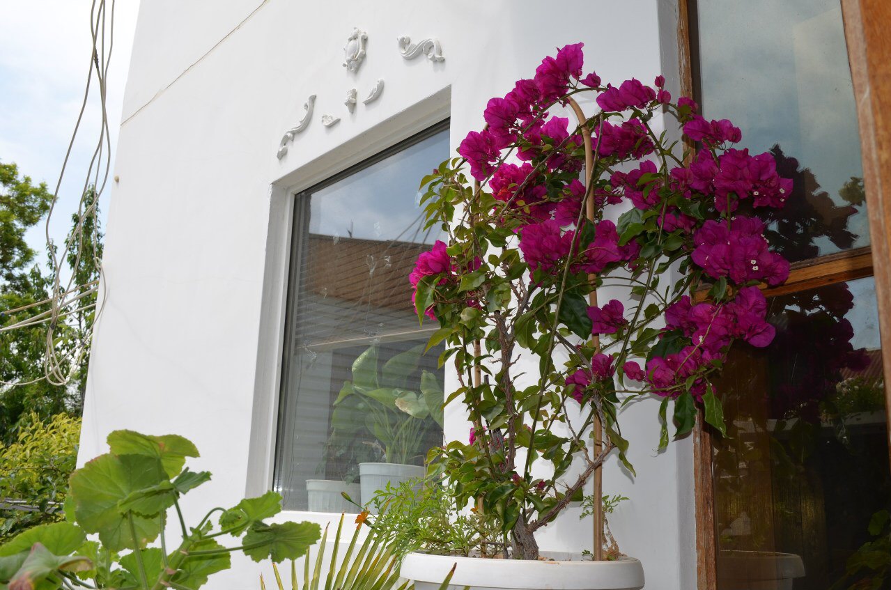 Фото Николь