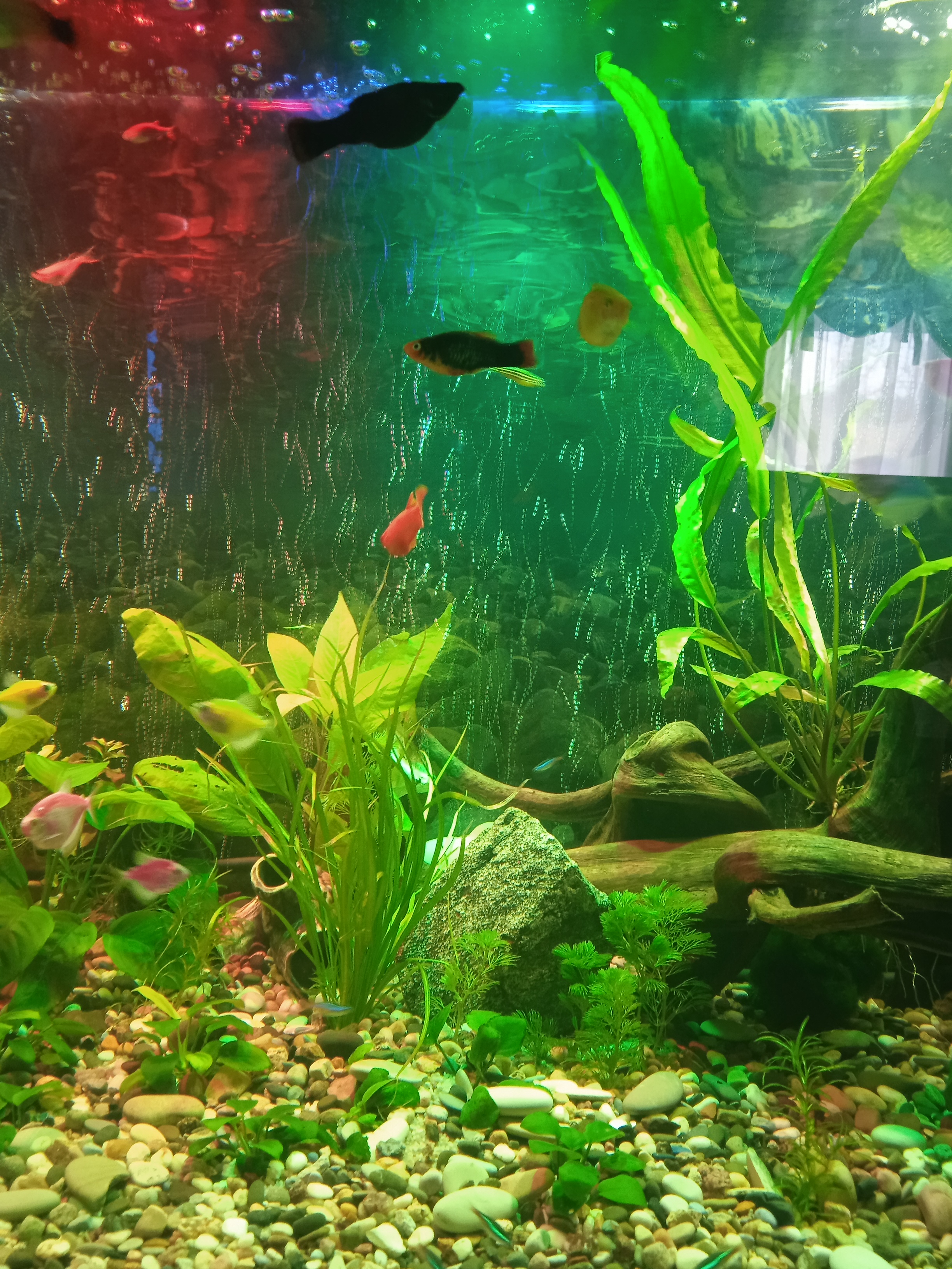 Фото Мини-гостиница на Ветеранов Октября 20