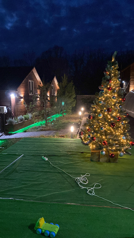 Фото Лесная поляна