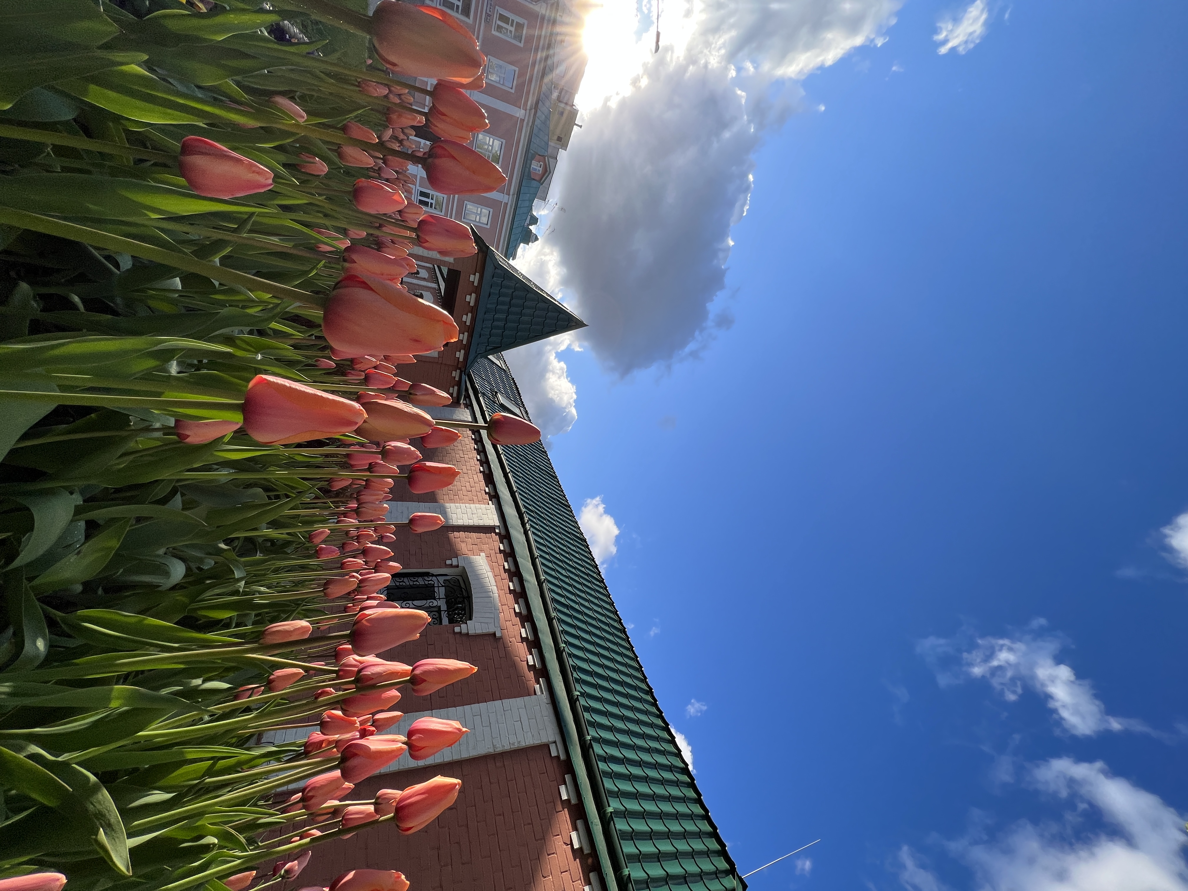 Фото Коломенское