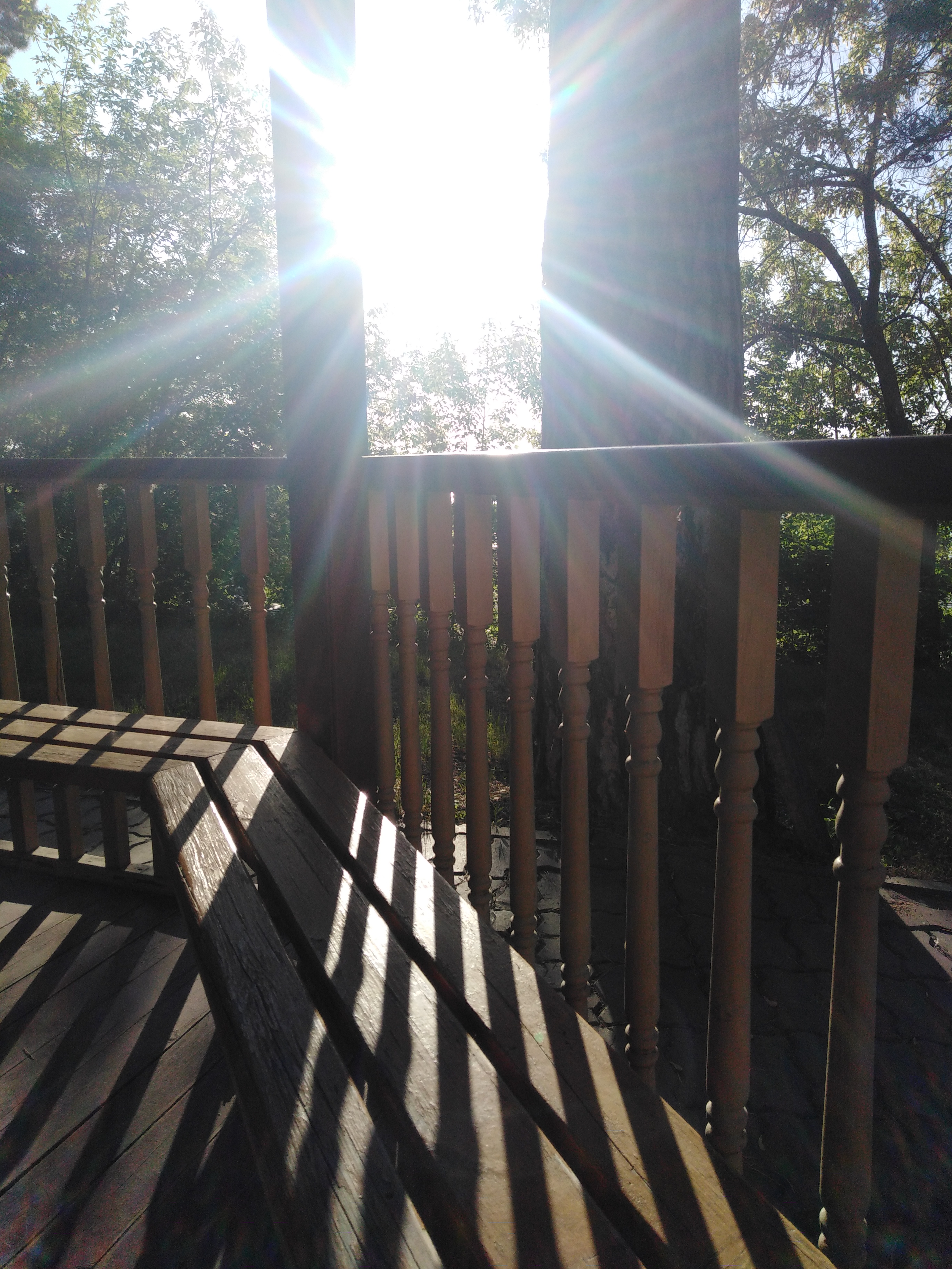 Фото Солнечный