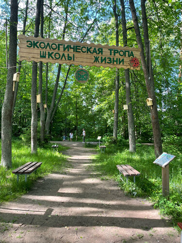 Пешеходный экологический маршрут Школы Жизни
