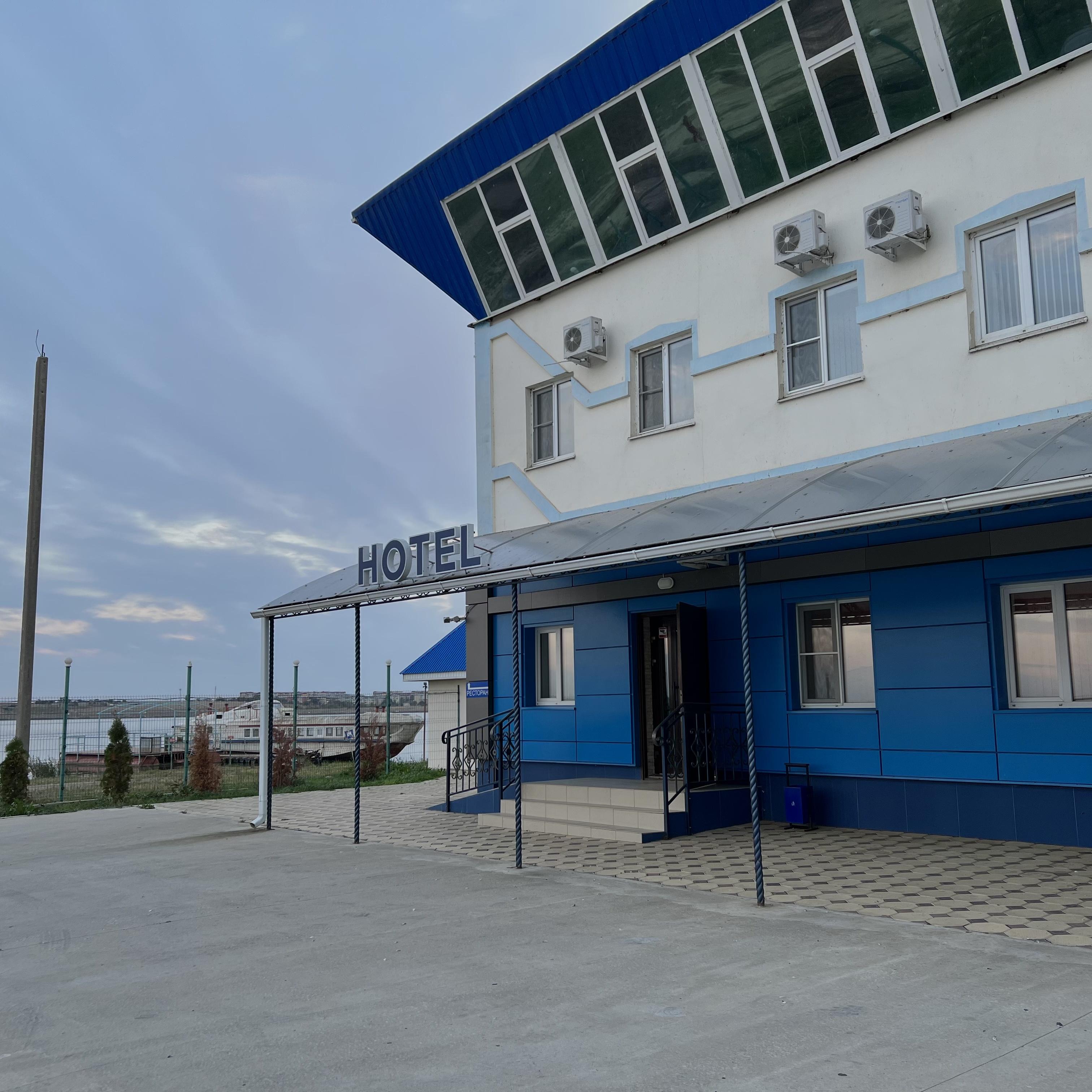 Фото Дельфин