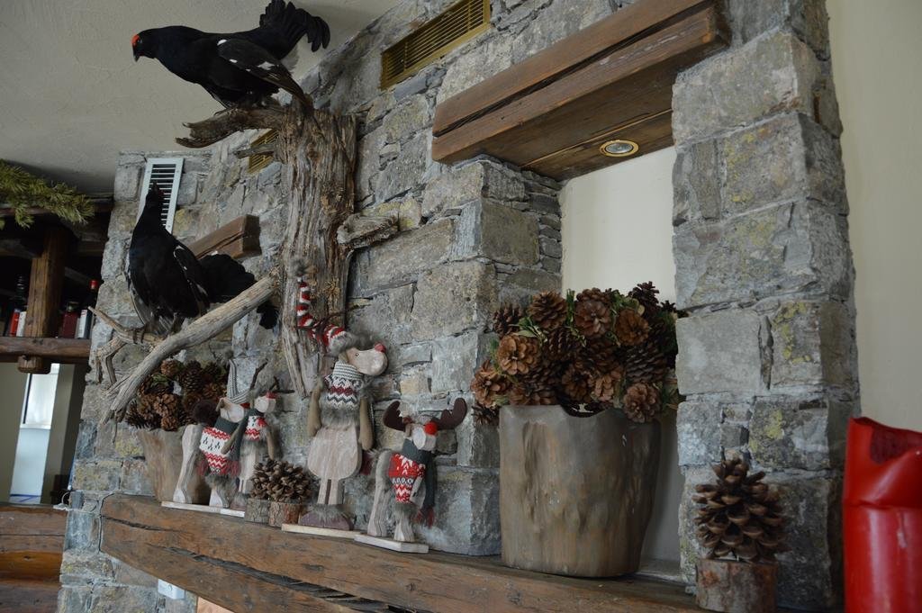 Фото Hotel Primula