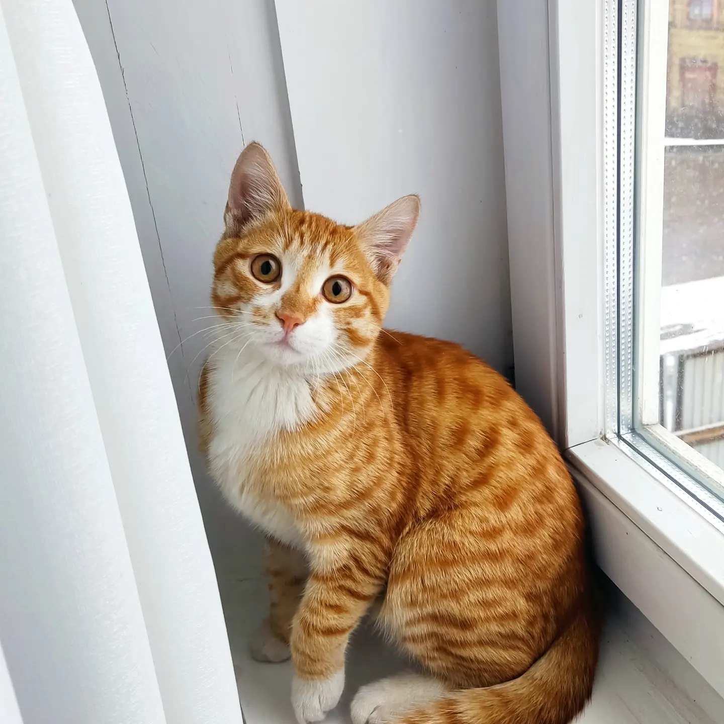 Фото Доходный Дом М. А. Листратовой