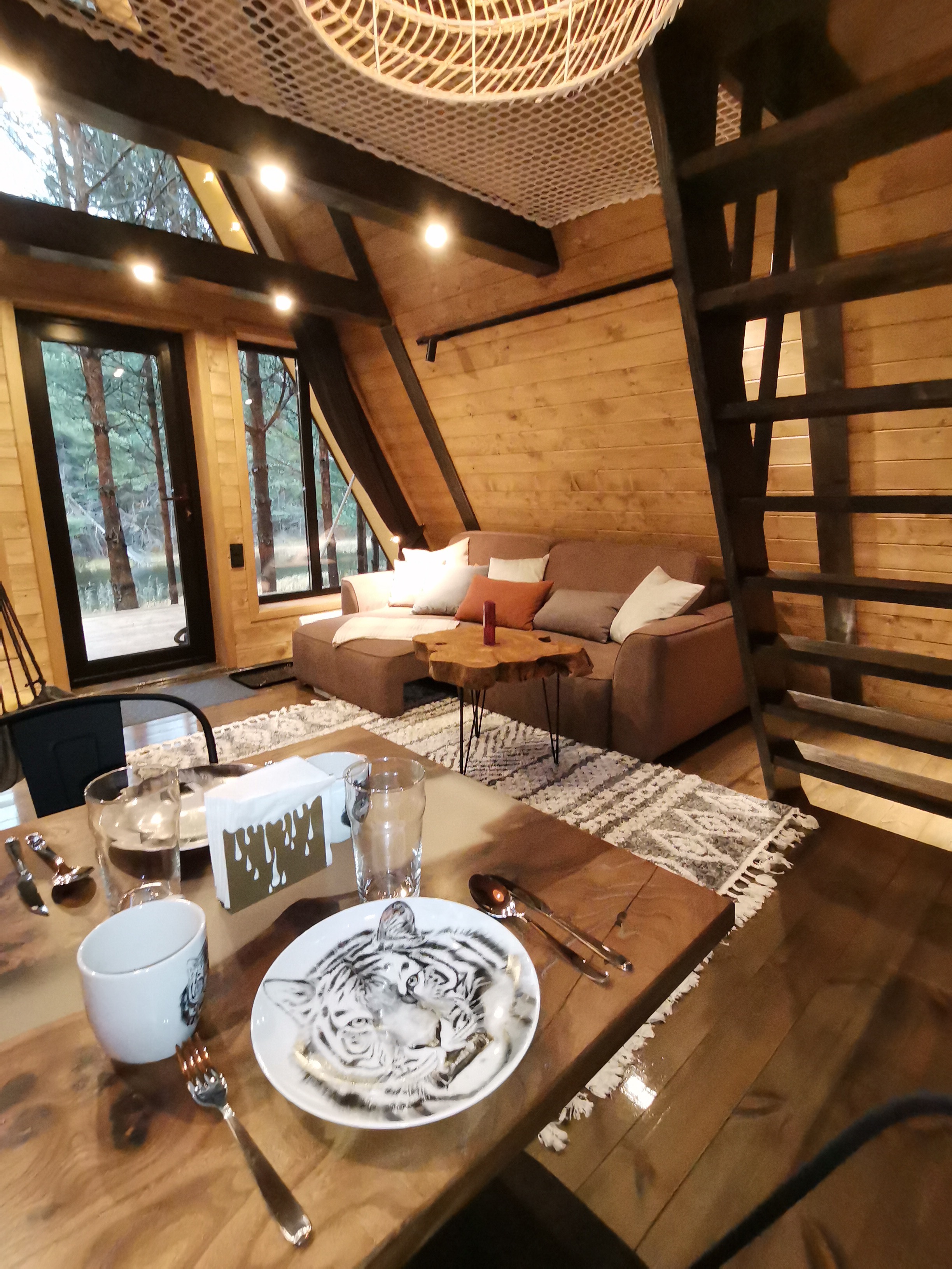 Фото КэмпФалькон