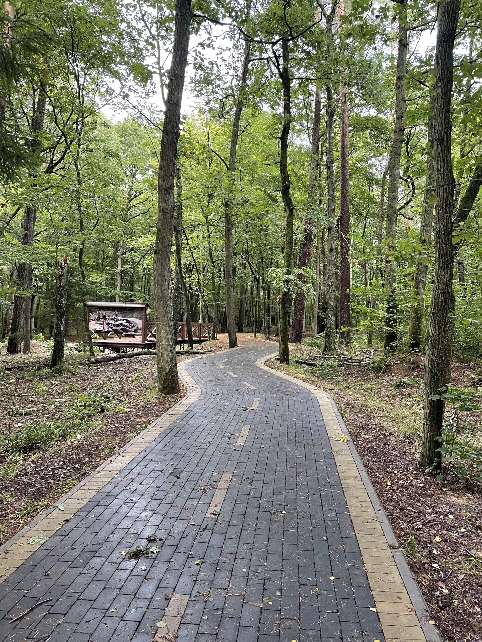 Фото Высокий берег