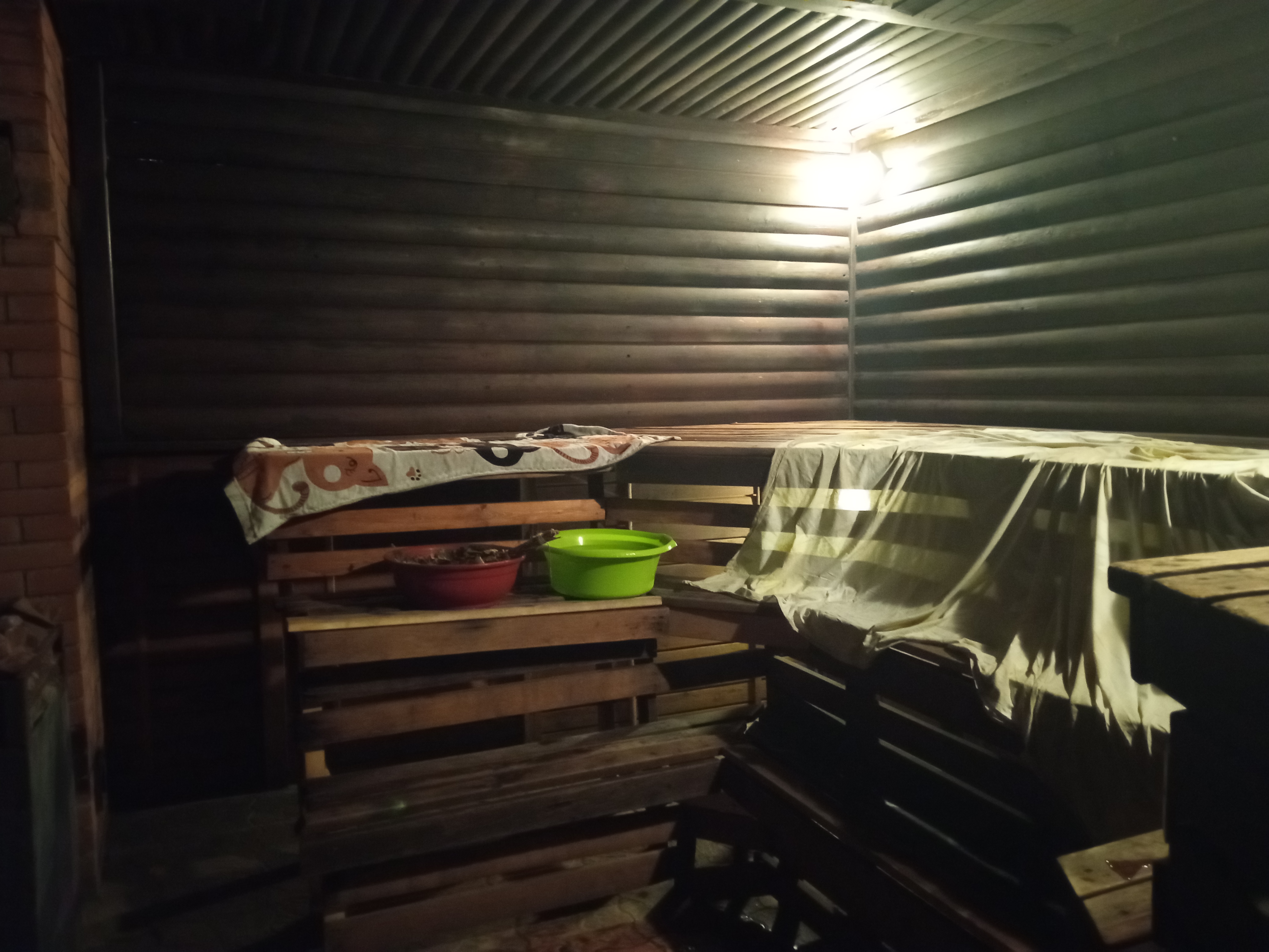 Фото Медуза