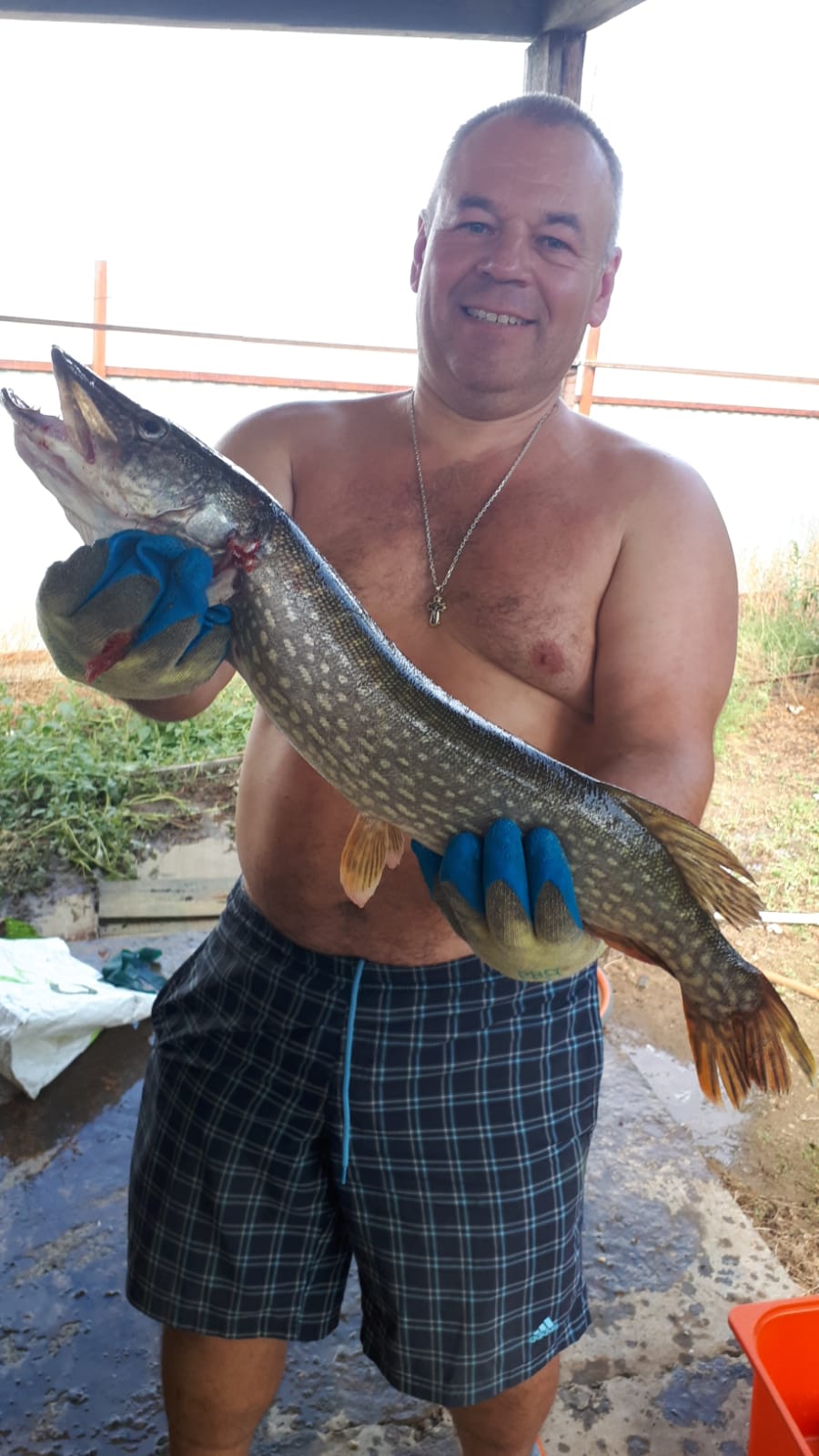 Фото Рыболовная база Оазис