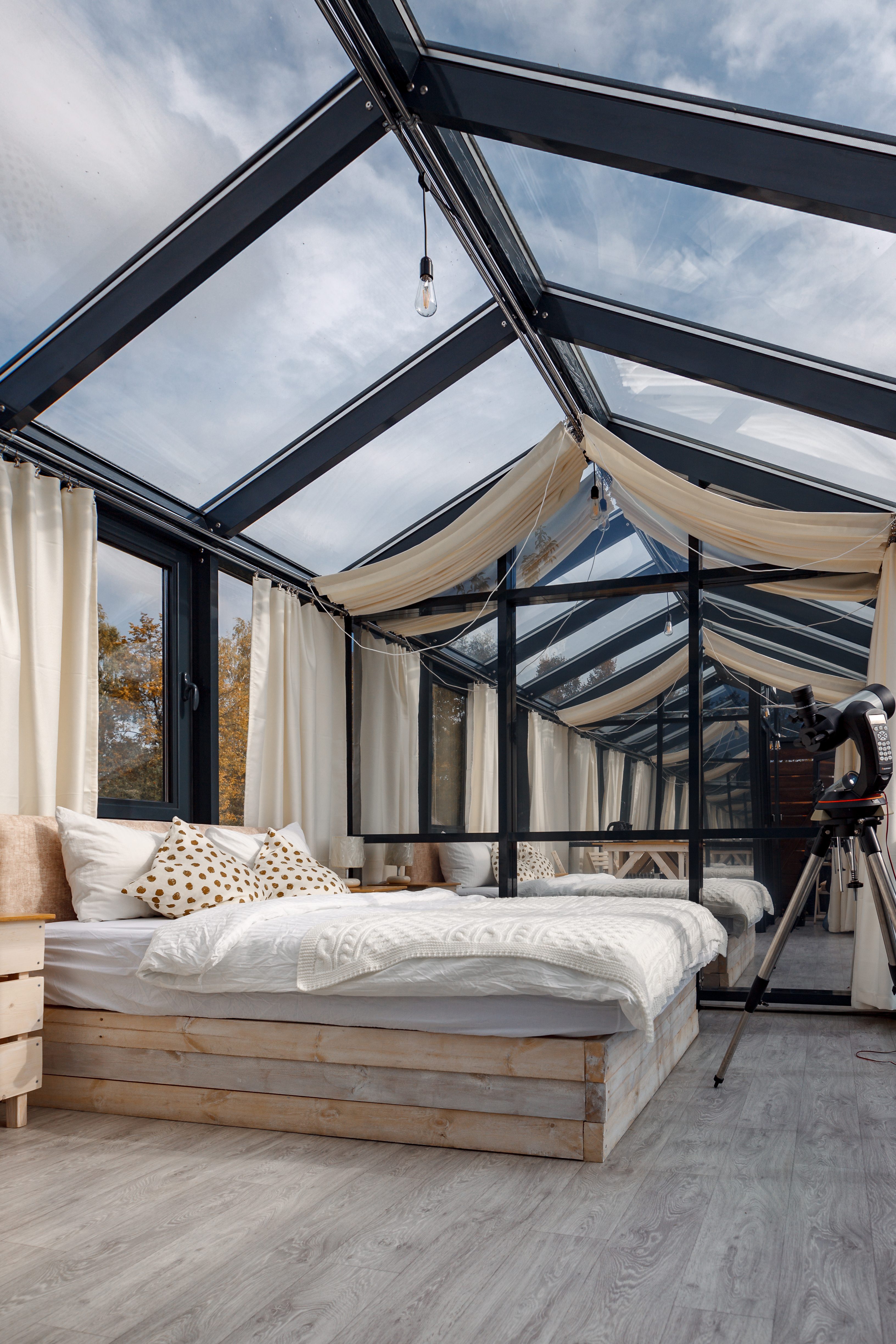 Фото Белый Кролик