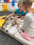 Хаски-терапия (Chaplygina Street, 15с5), social rehabilitation centre
