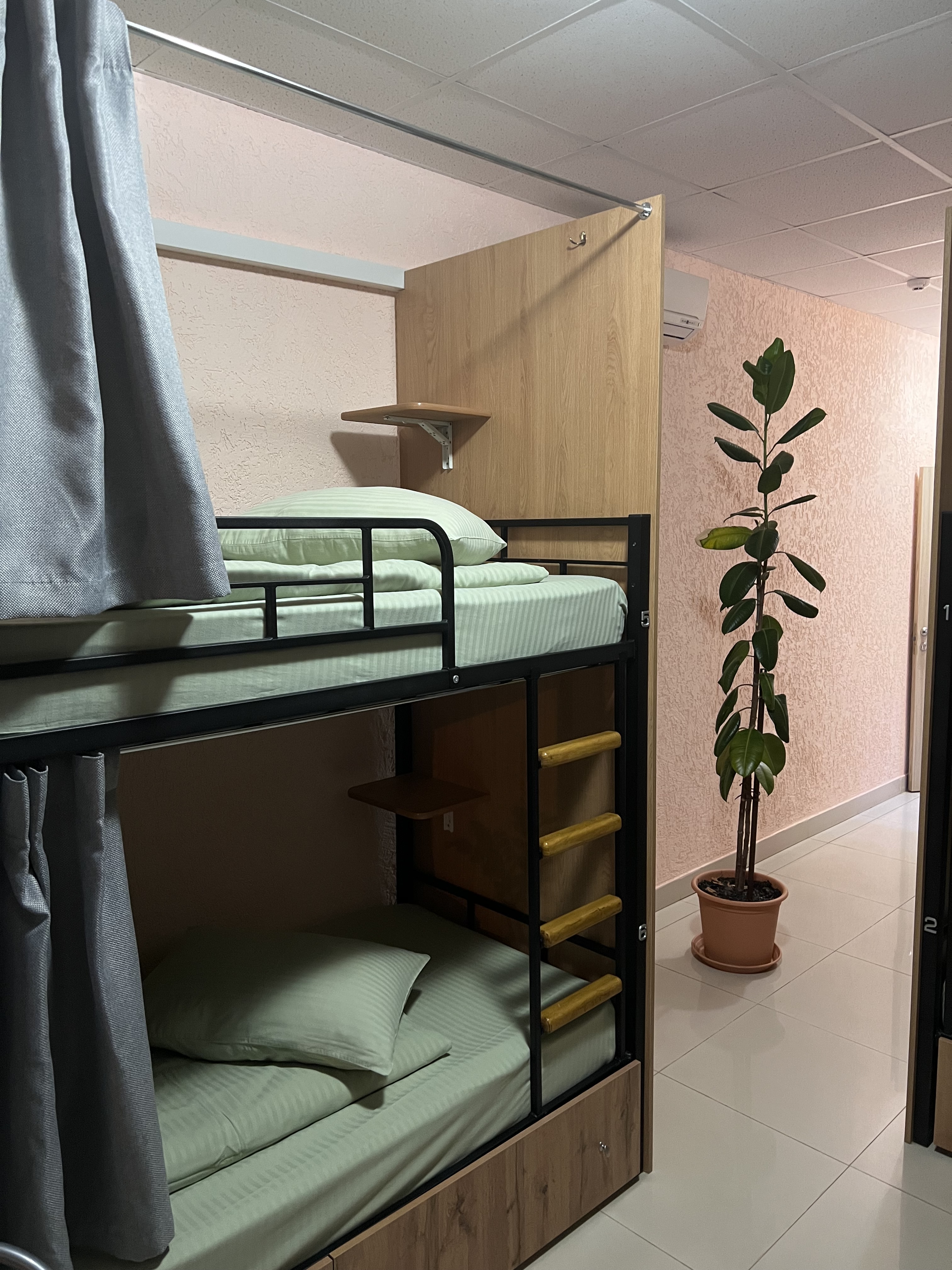 Фото Пионер