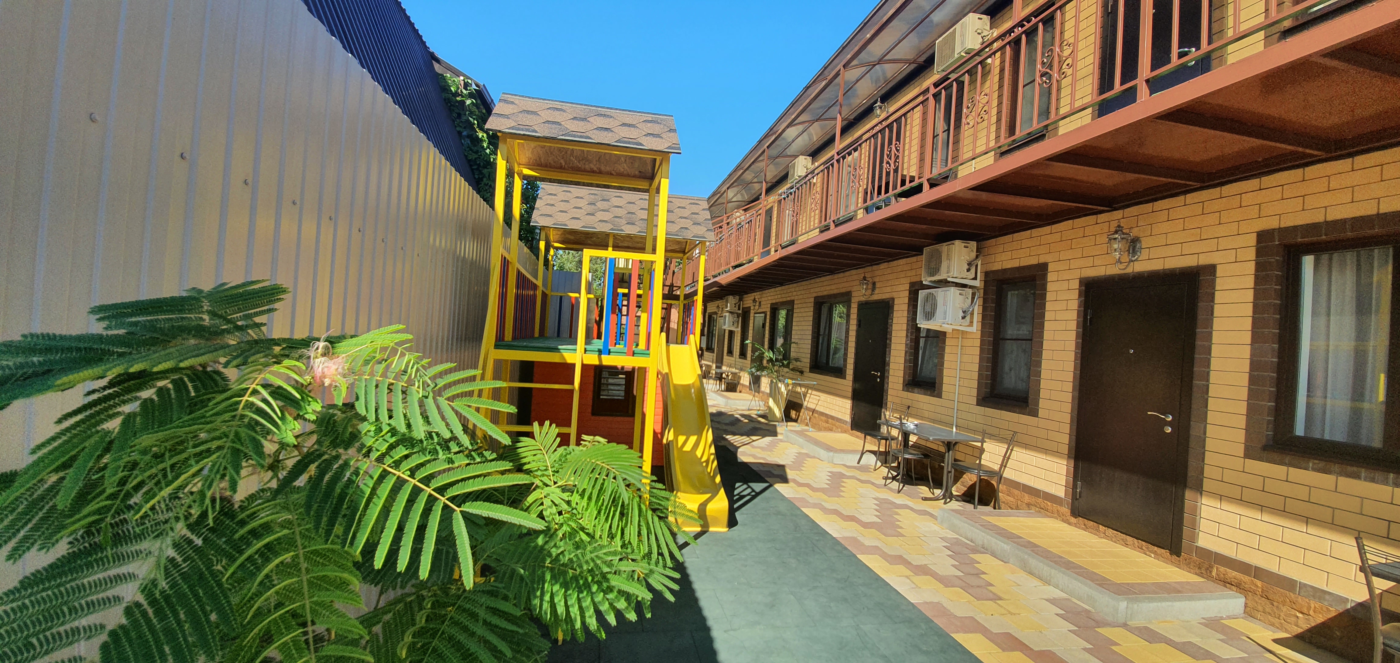 Фото Мандарин