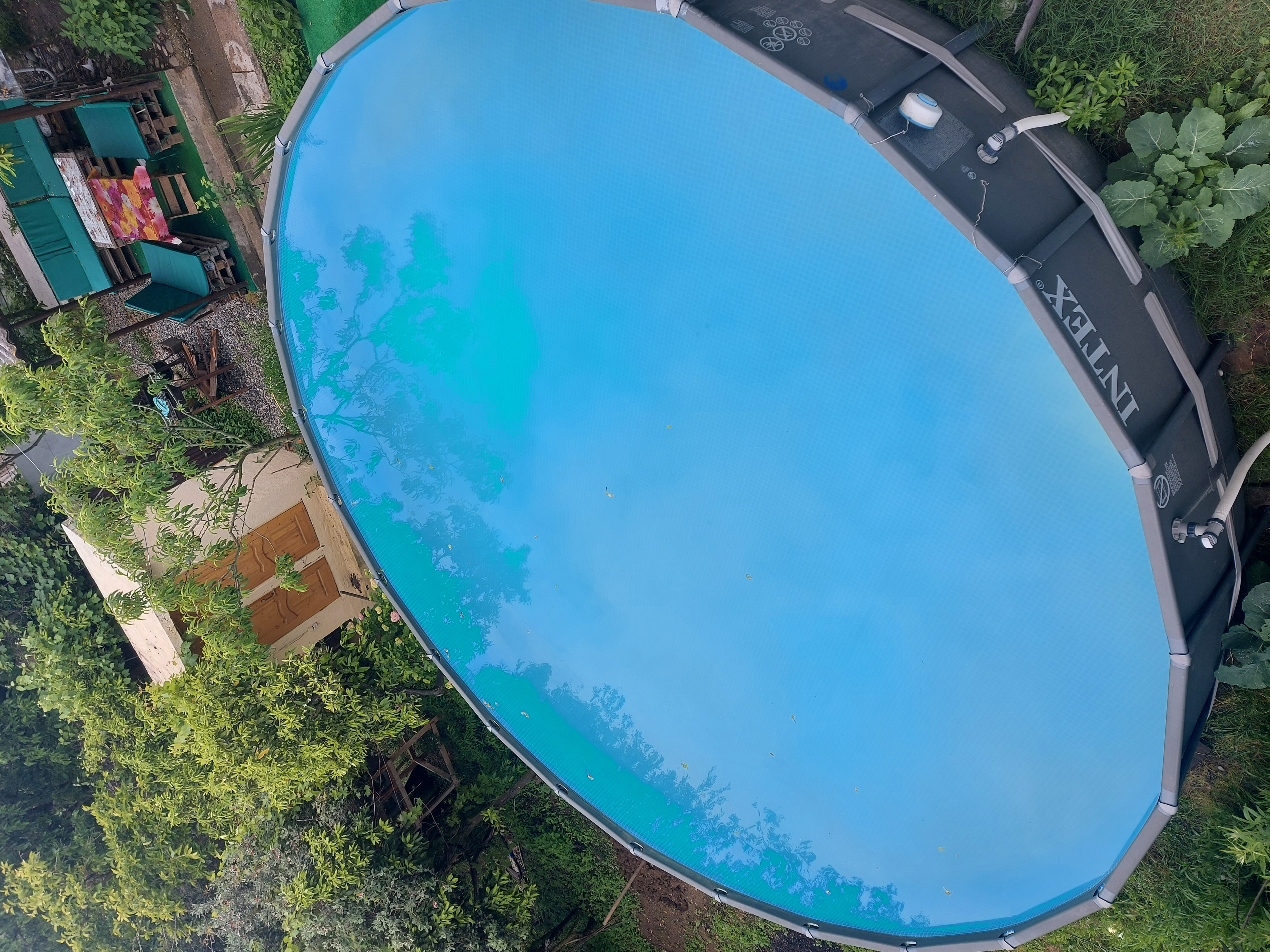 Фото Орхидея