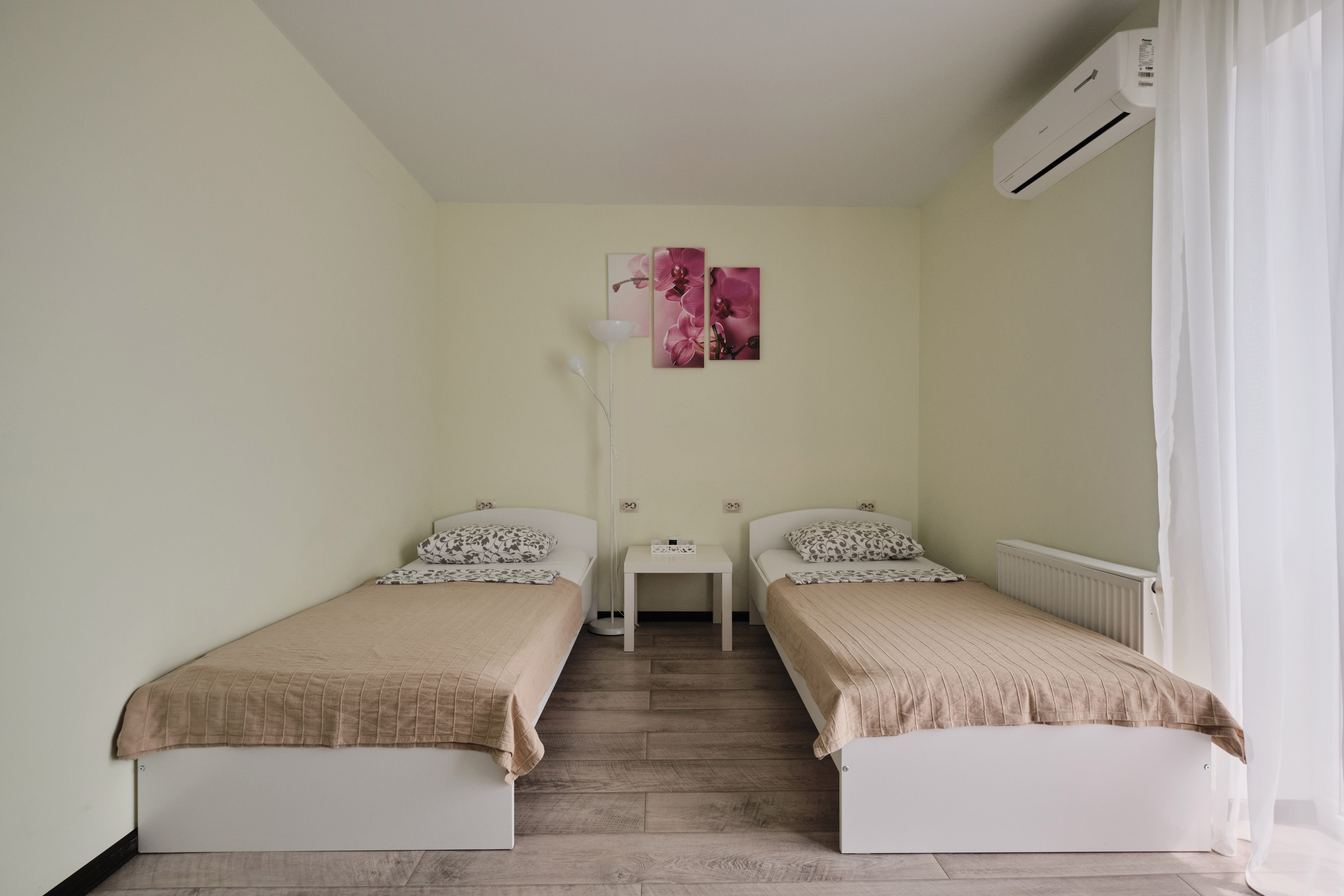 Фото Солнечная орхидея