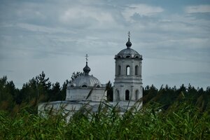 Свято-Троицкий храм (Сосновая ул., 32, село Окуни), православный храм в Белгородской области