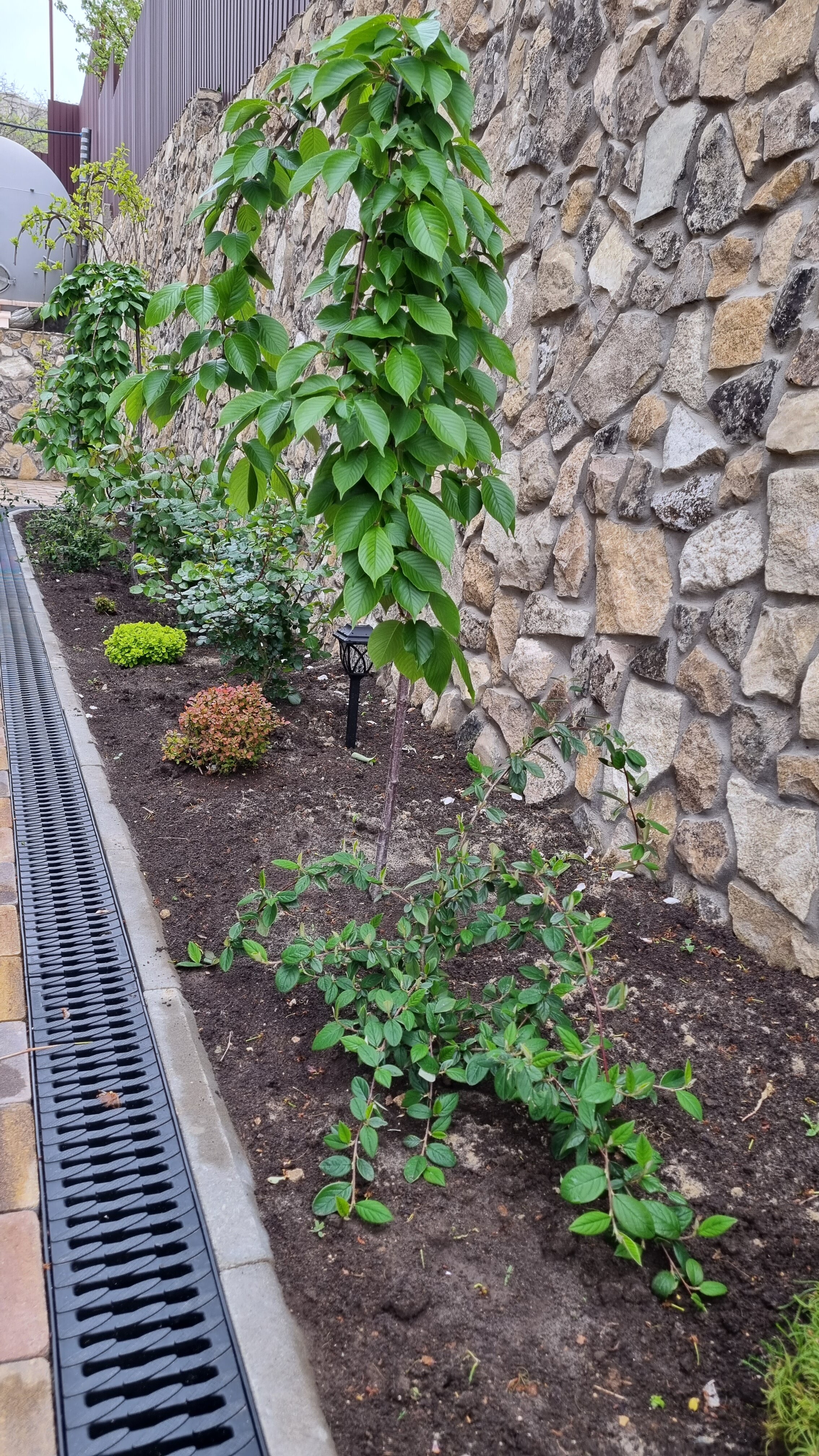 Фото Гостевой дом у моря