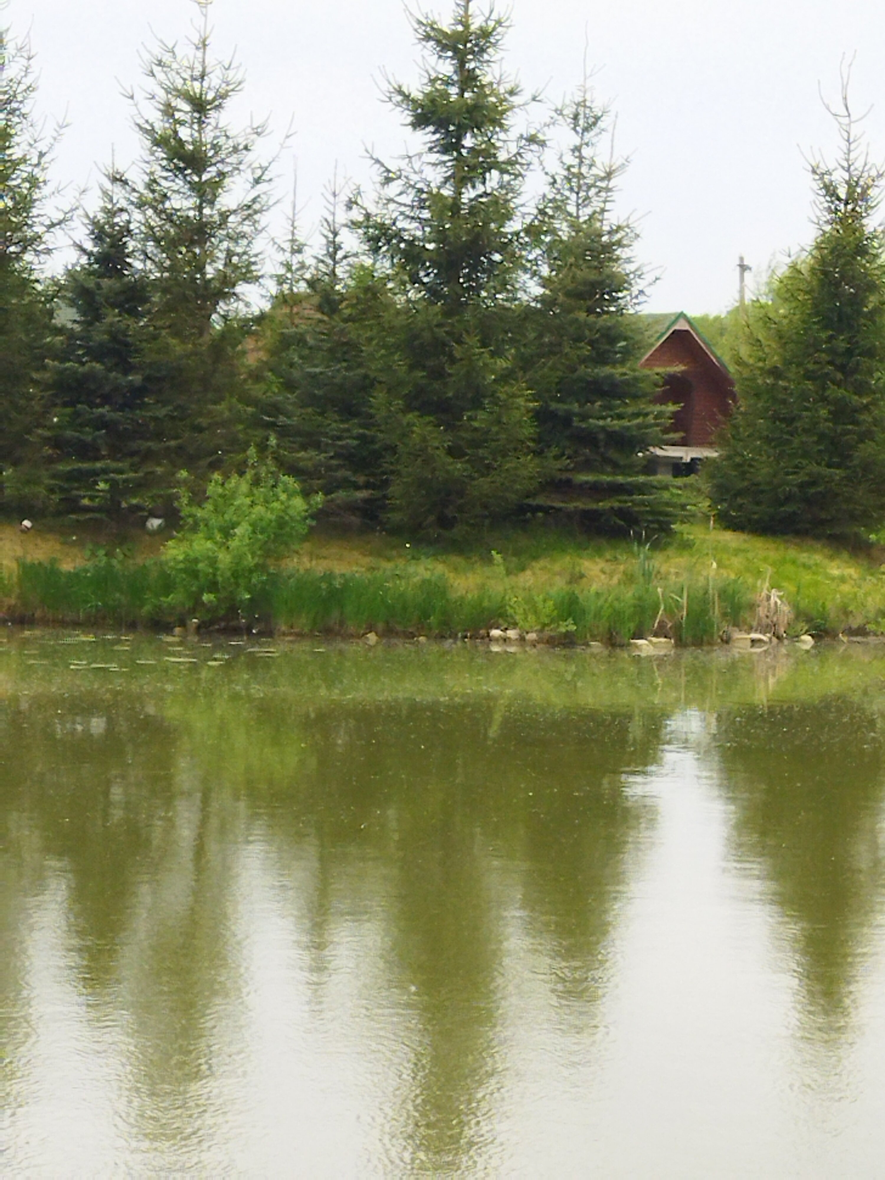 Фото Целинбург