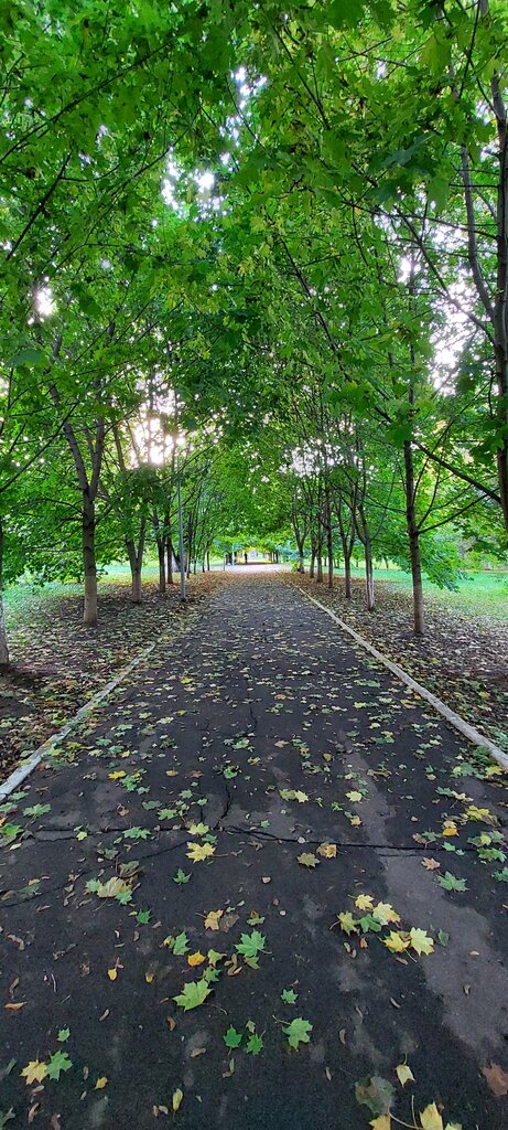 Park Мемориальный парк, Bronnizi, photo