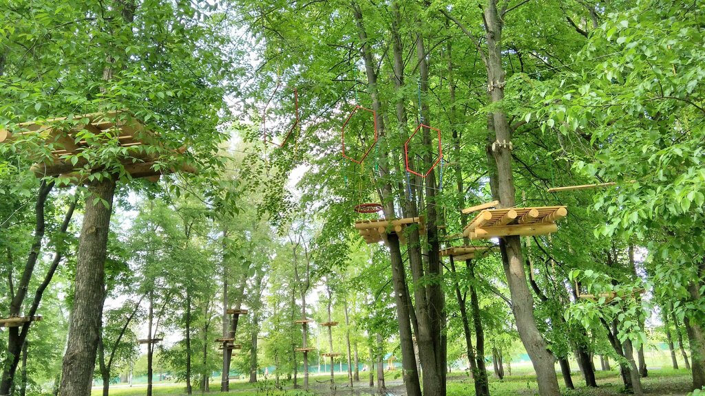 Мир приключений, верёвочный парк, Тамбов, лесопарк Дружба - Яндекс Карты