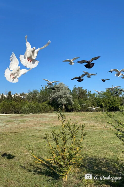 Фото Голубой залив