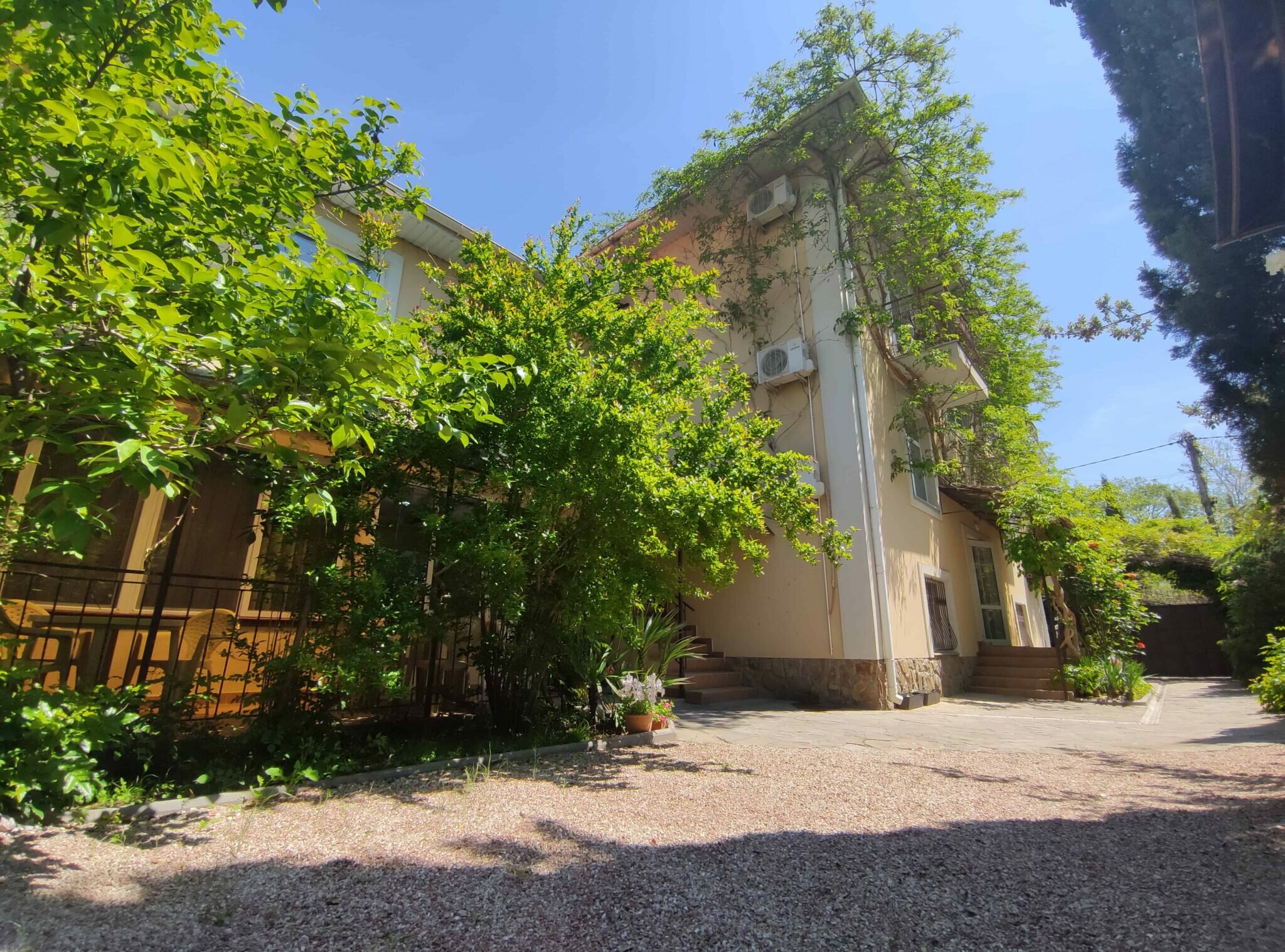 Фото Баттерфляй