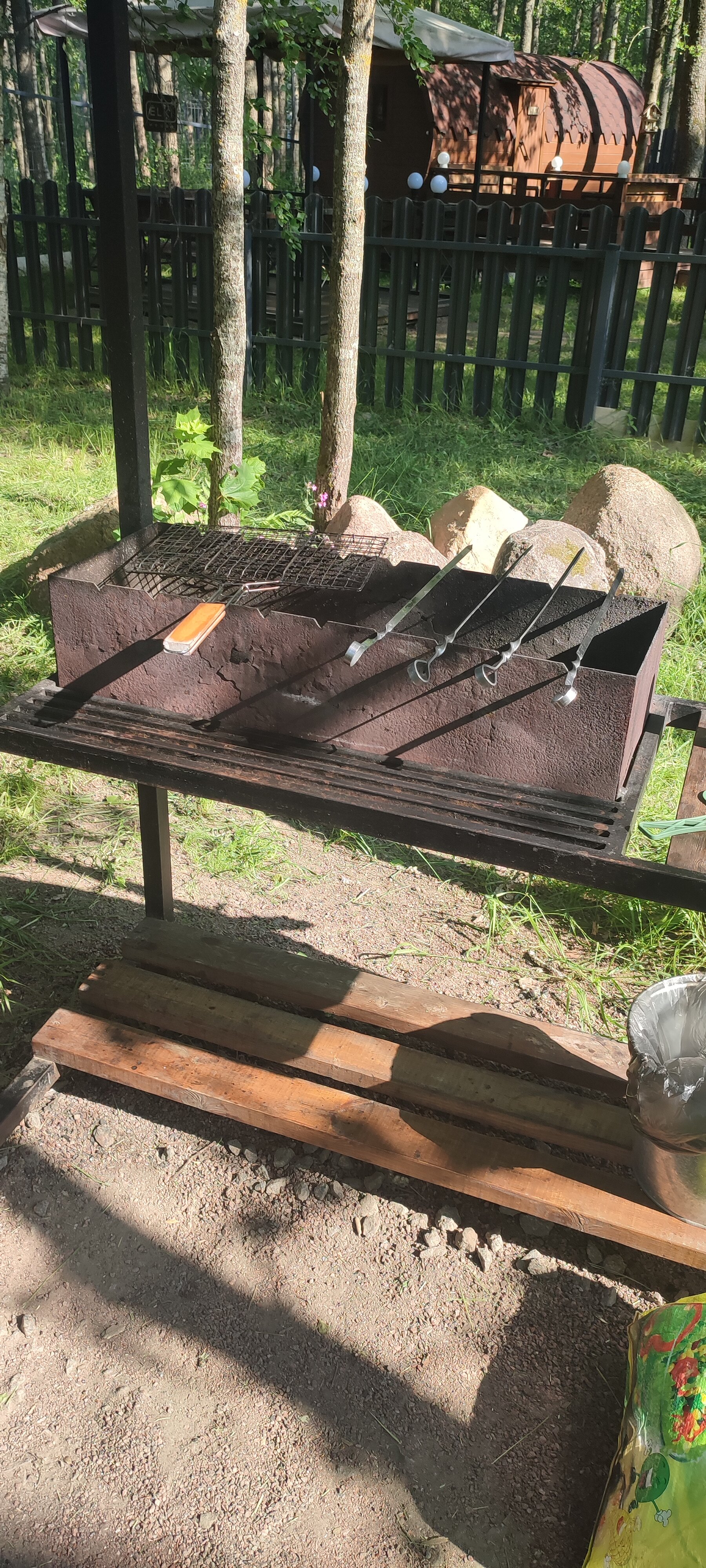 Фото Ёlki в Правдинское озеро