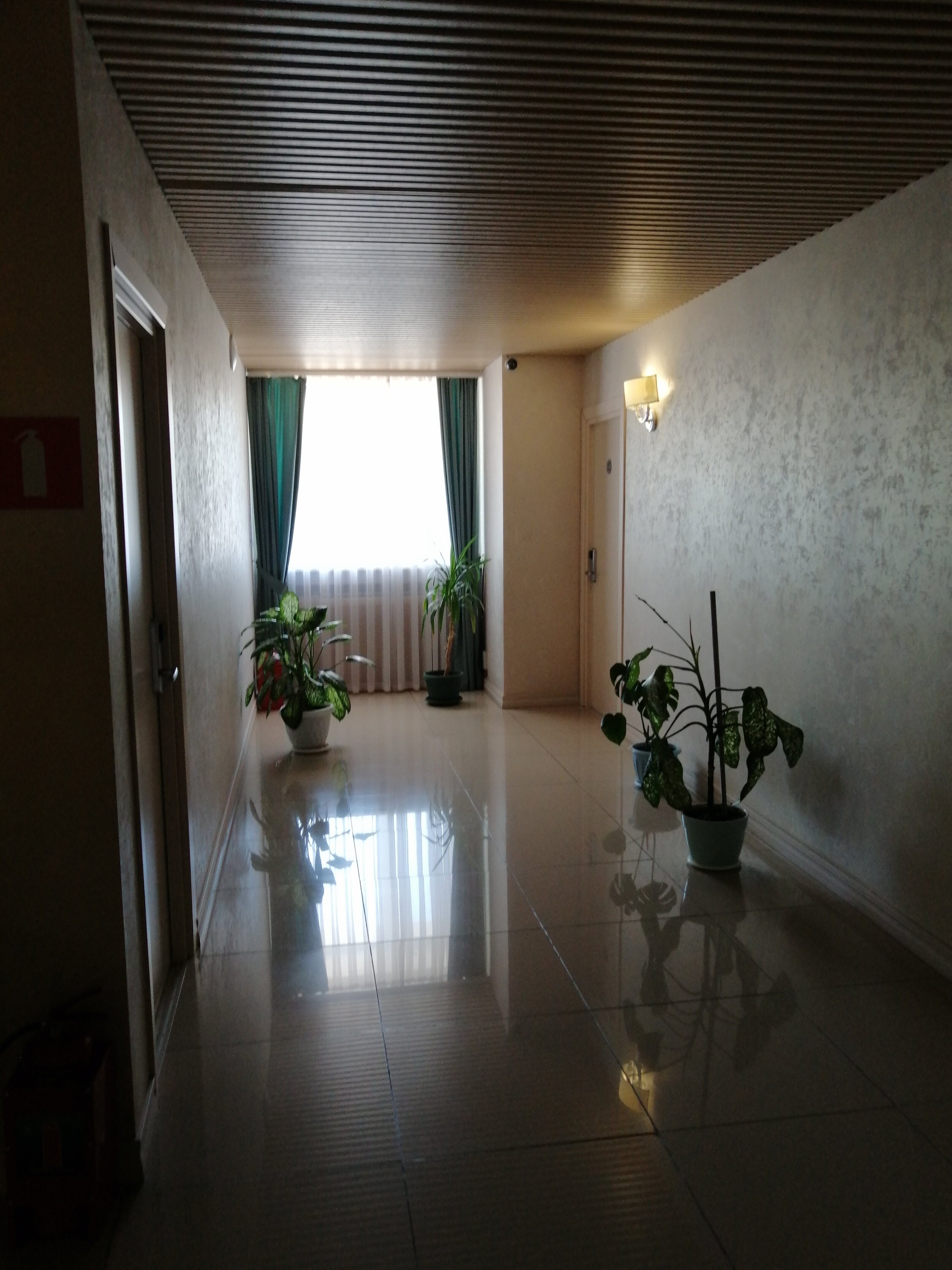 Фото Астория