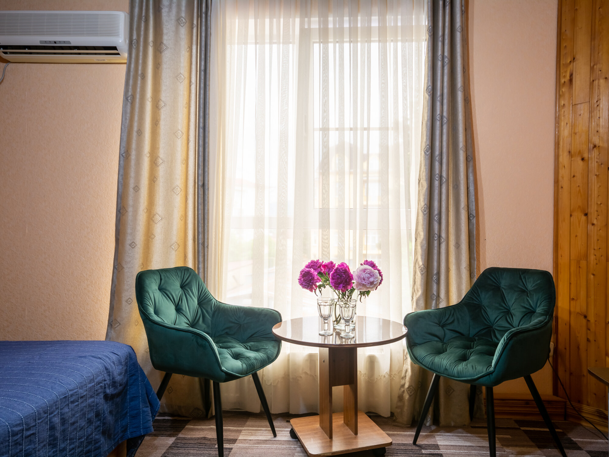 Фото Альбатрос